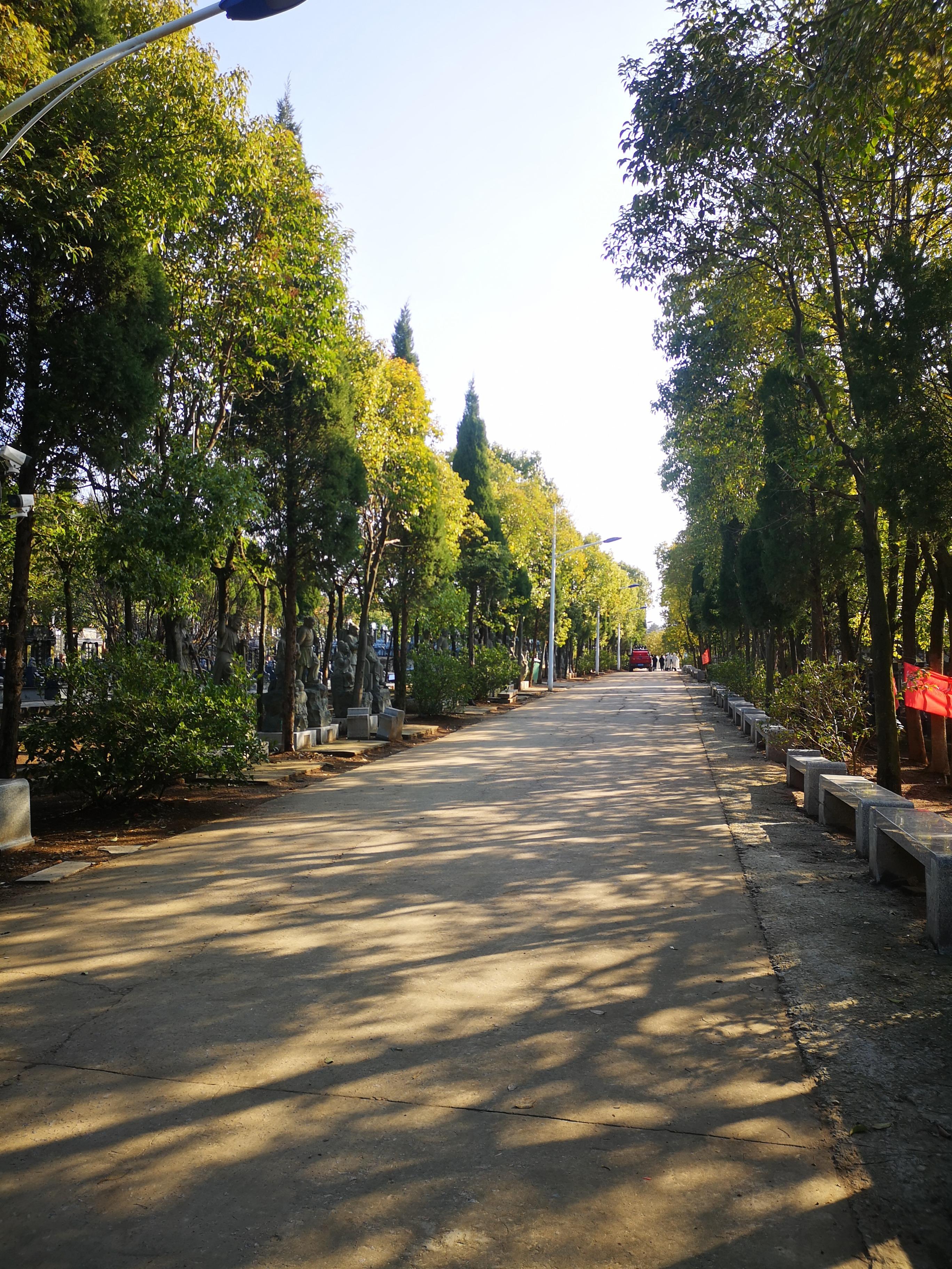 淮南市舜耕山公墓