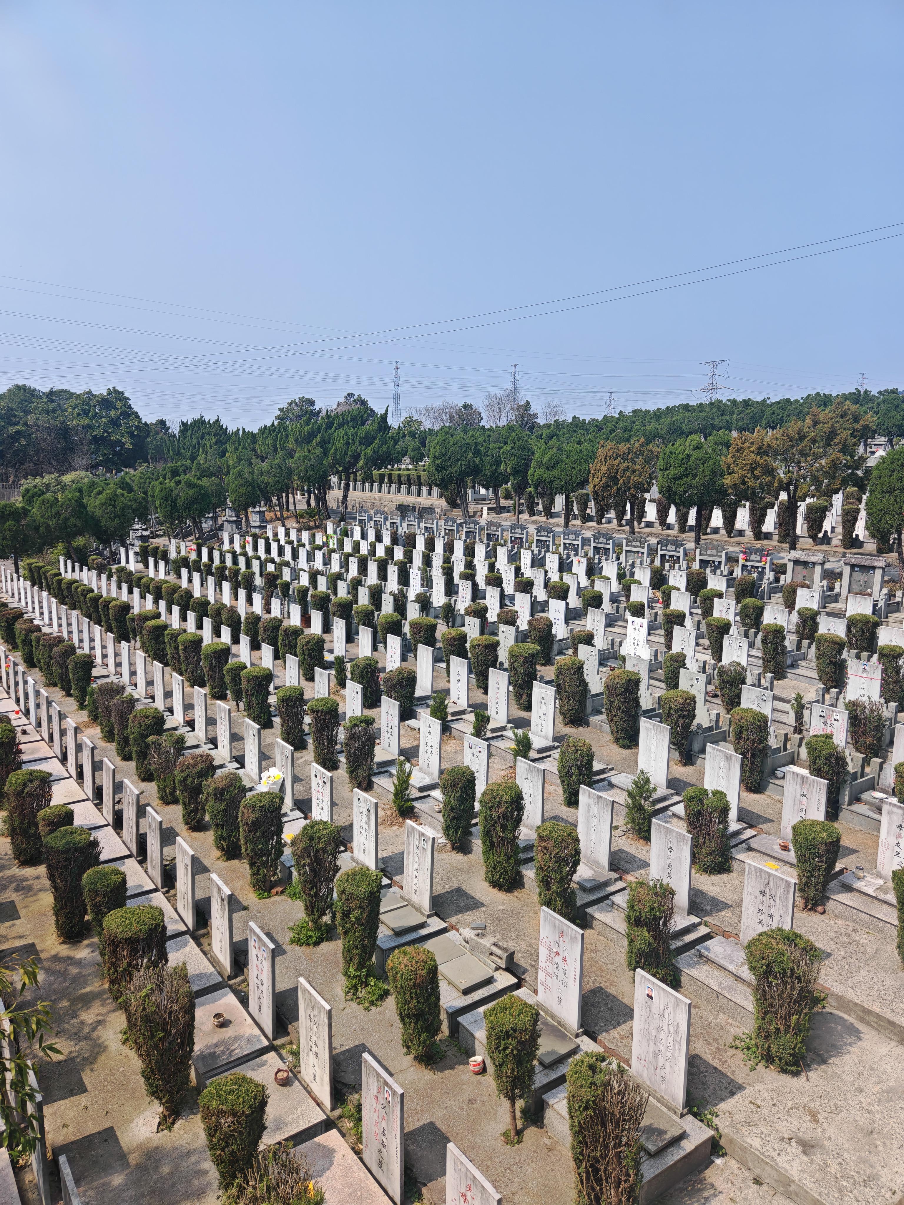 南京宝恩德管理服务有限公司（溧水区美人山公墓）园区图片