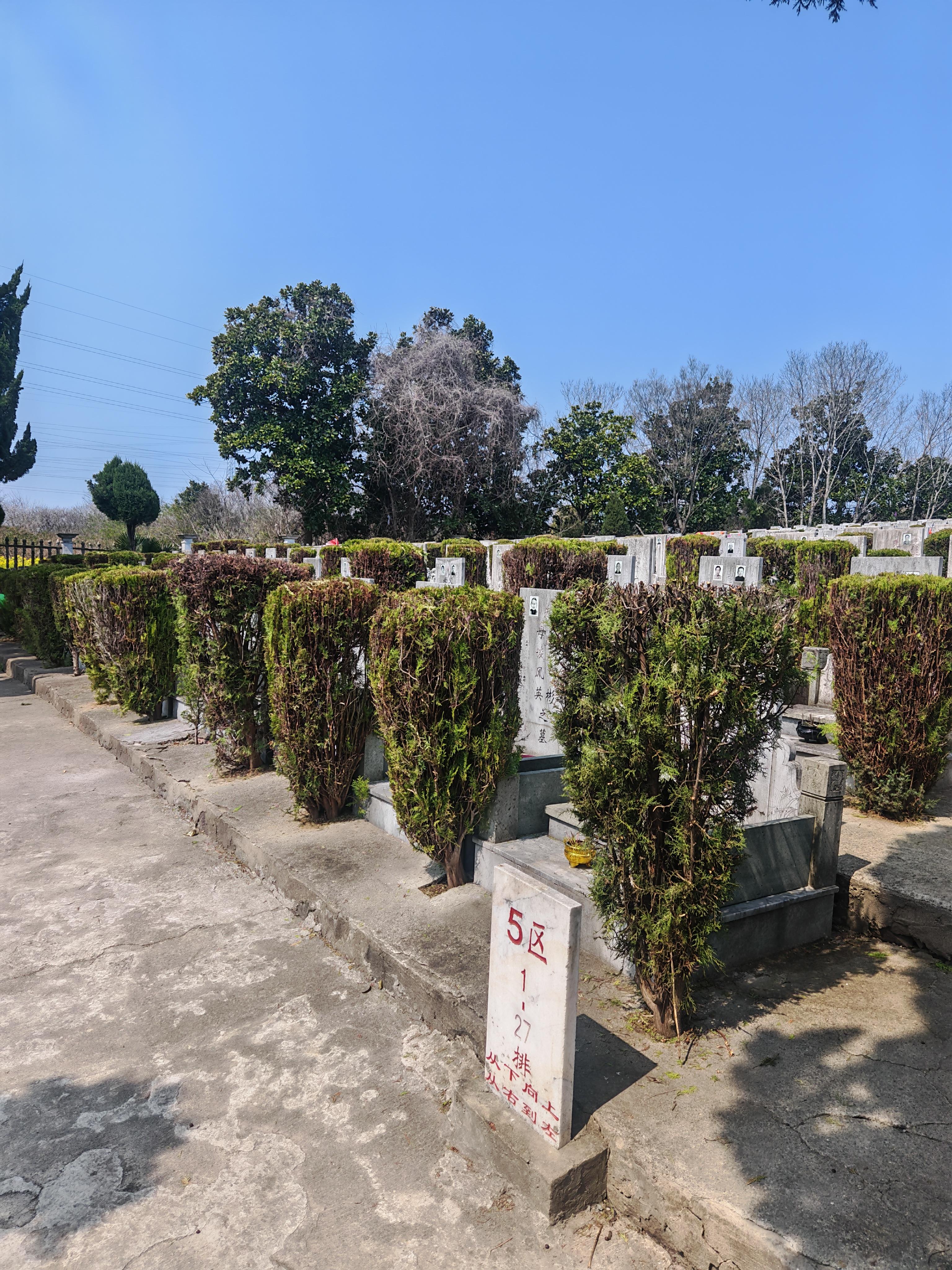 南京宝恩德管理服务有限公司（溧水区美人山公墓）园区图片