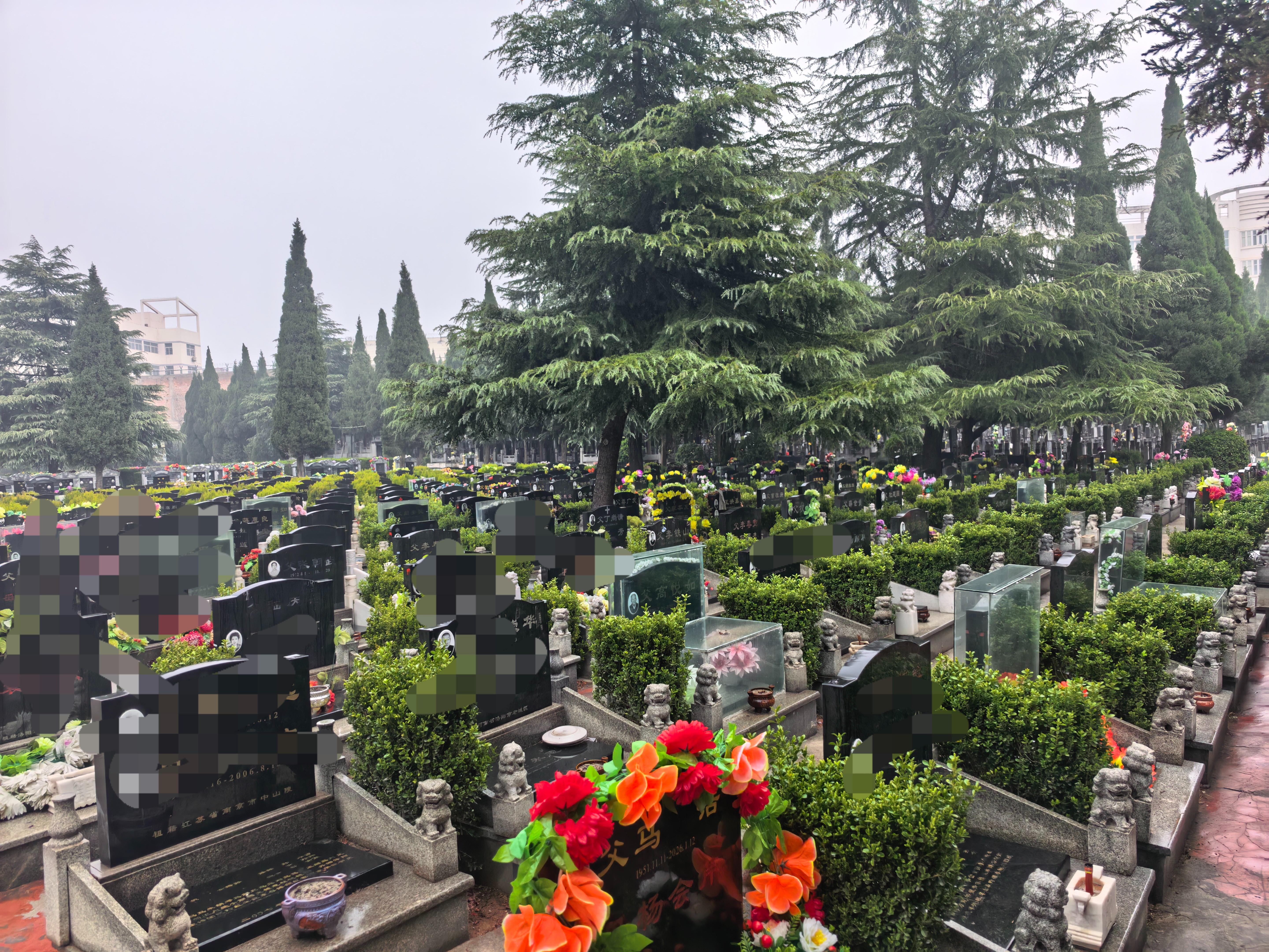 洛阳凤凰陵园园区图片