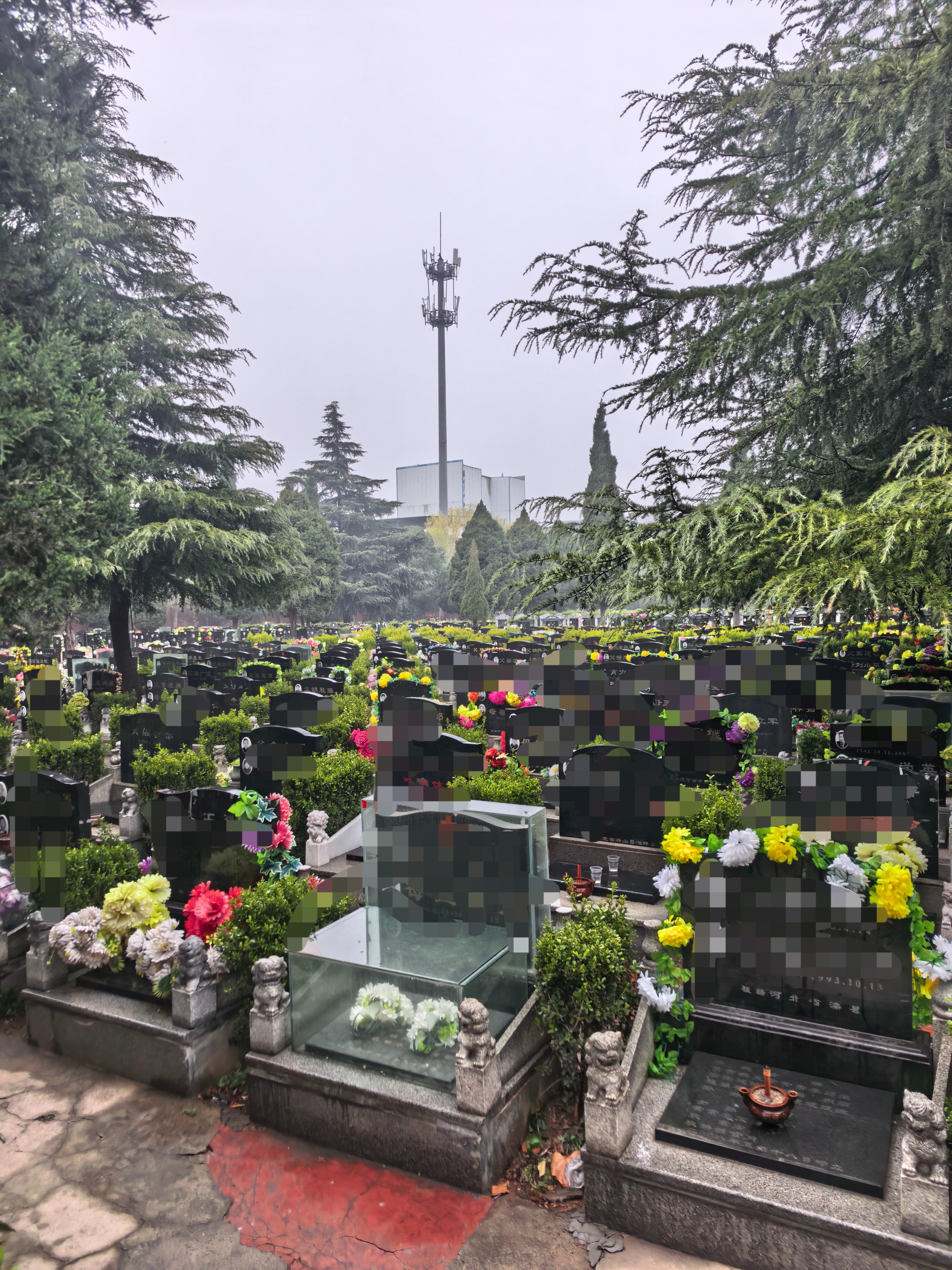 洛阳凤凰陵园园区图片