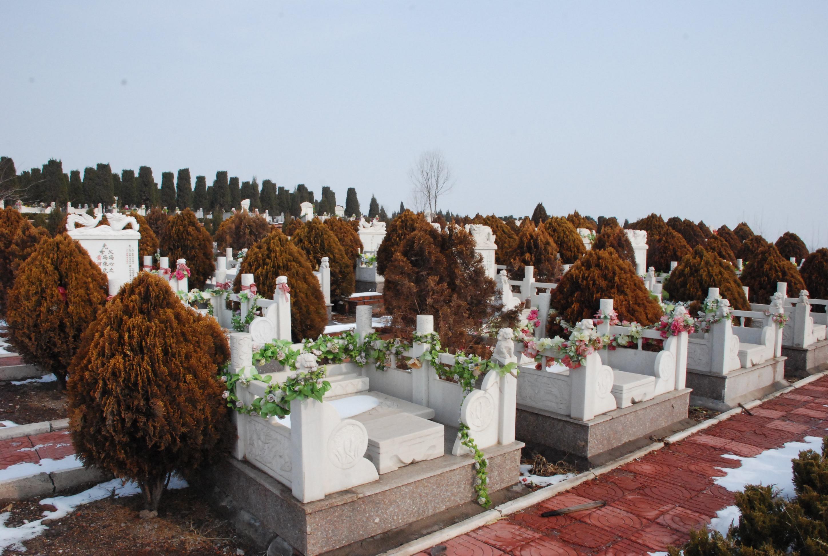 诸城市莲花山公墓有限公司园区图片