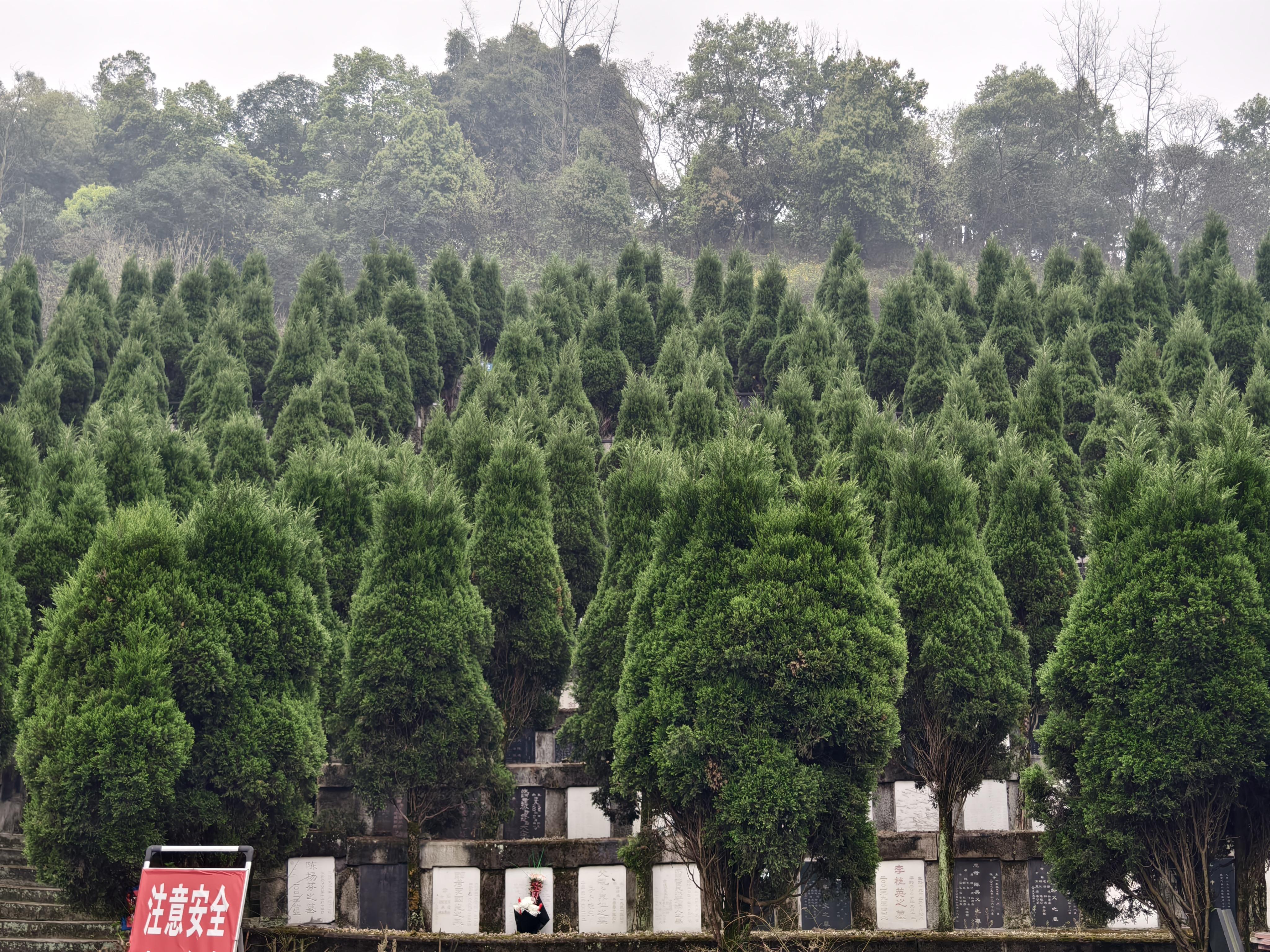 贡井区犀牛山公墓园区图片