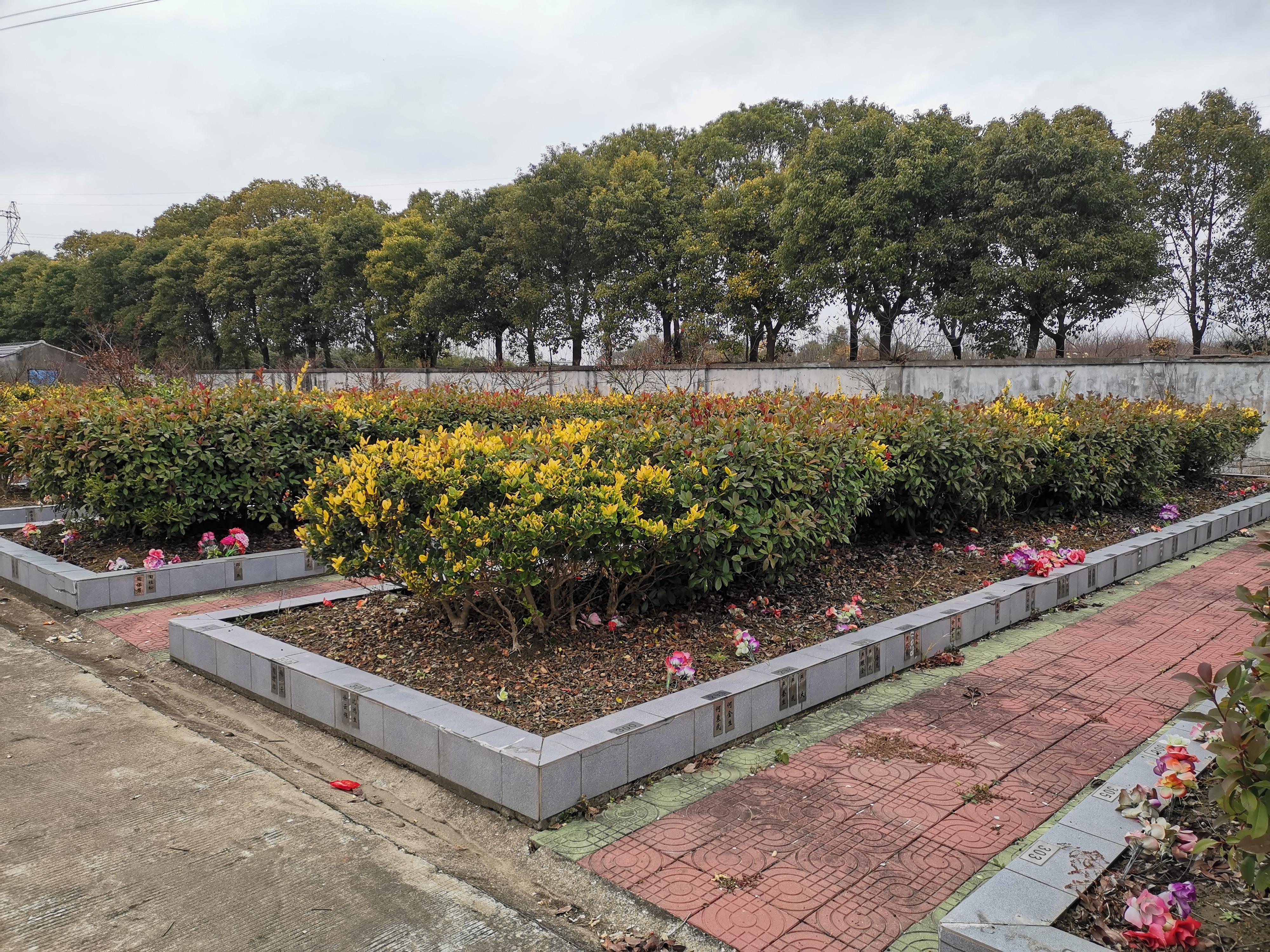 常熟市董浜镇思亲苑园区图片