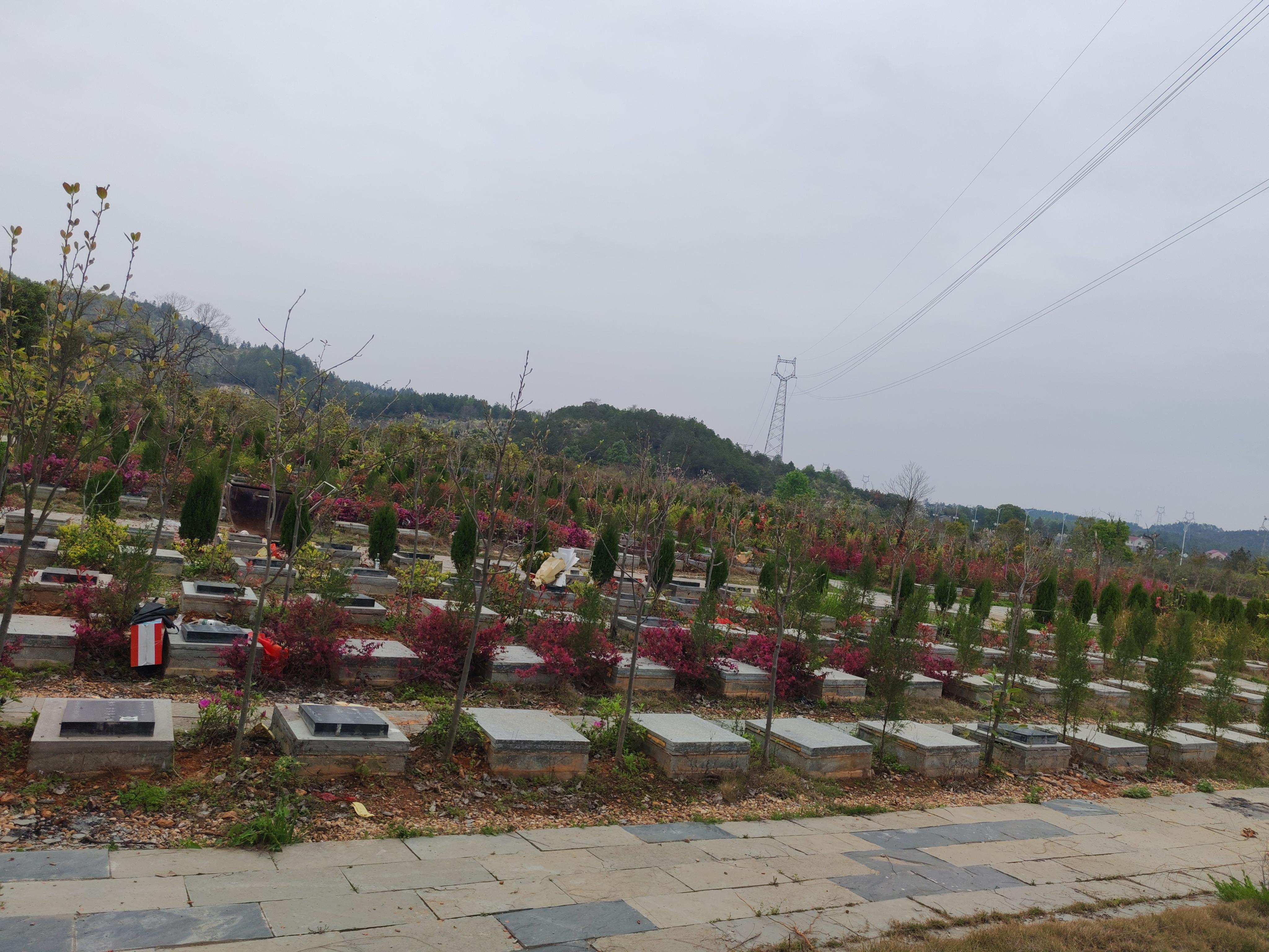 泰和县城区公益性公墓(追远陵园)园区图片