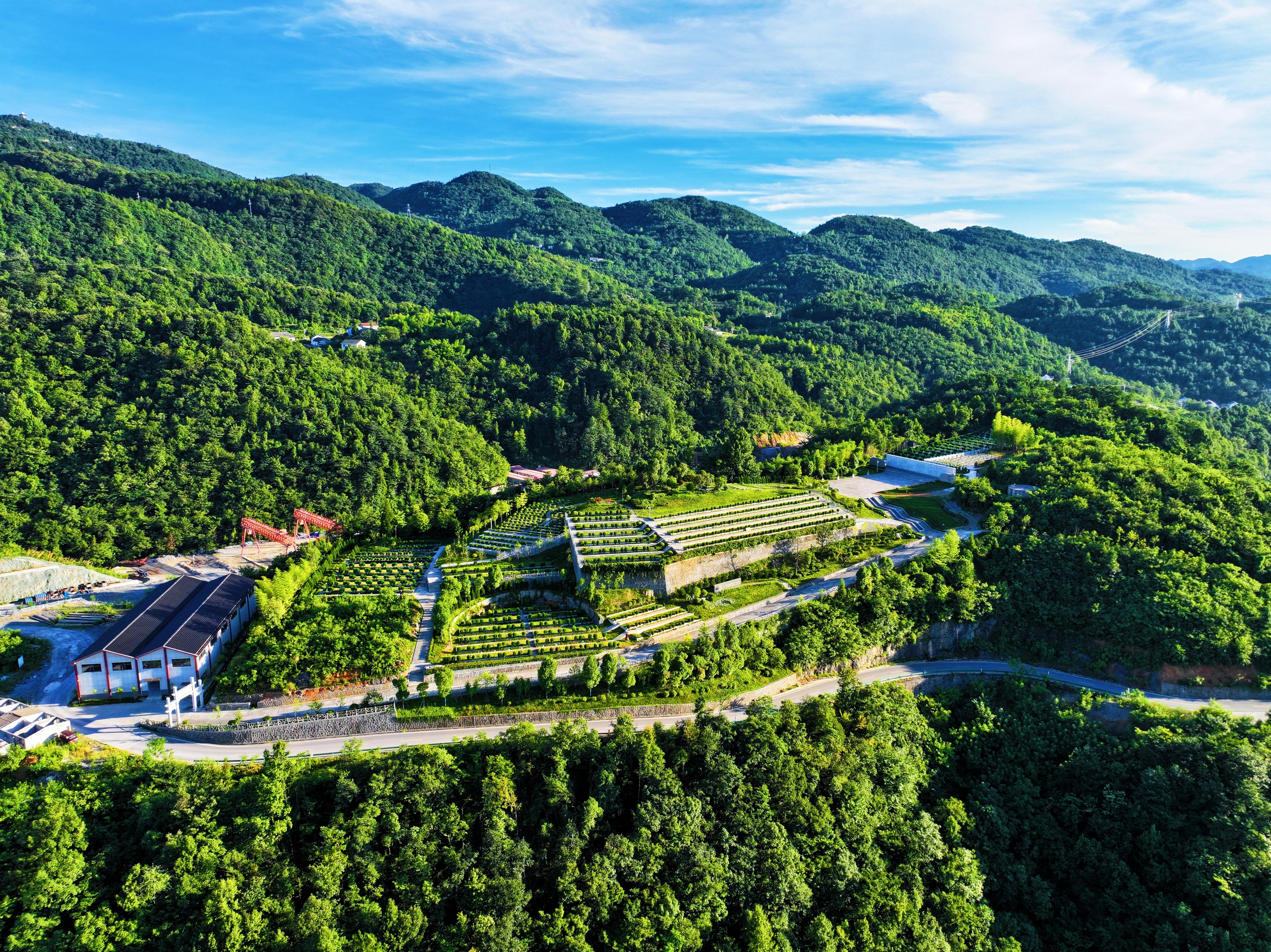 凤凰山公墓园区图片