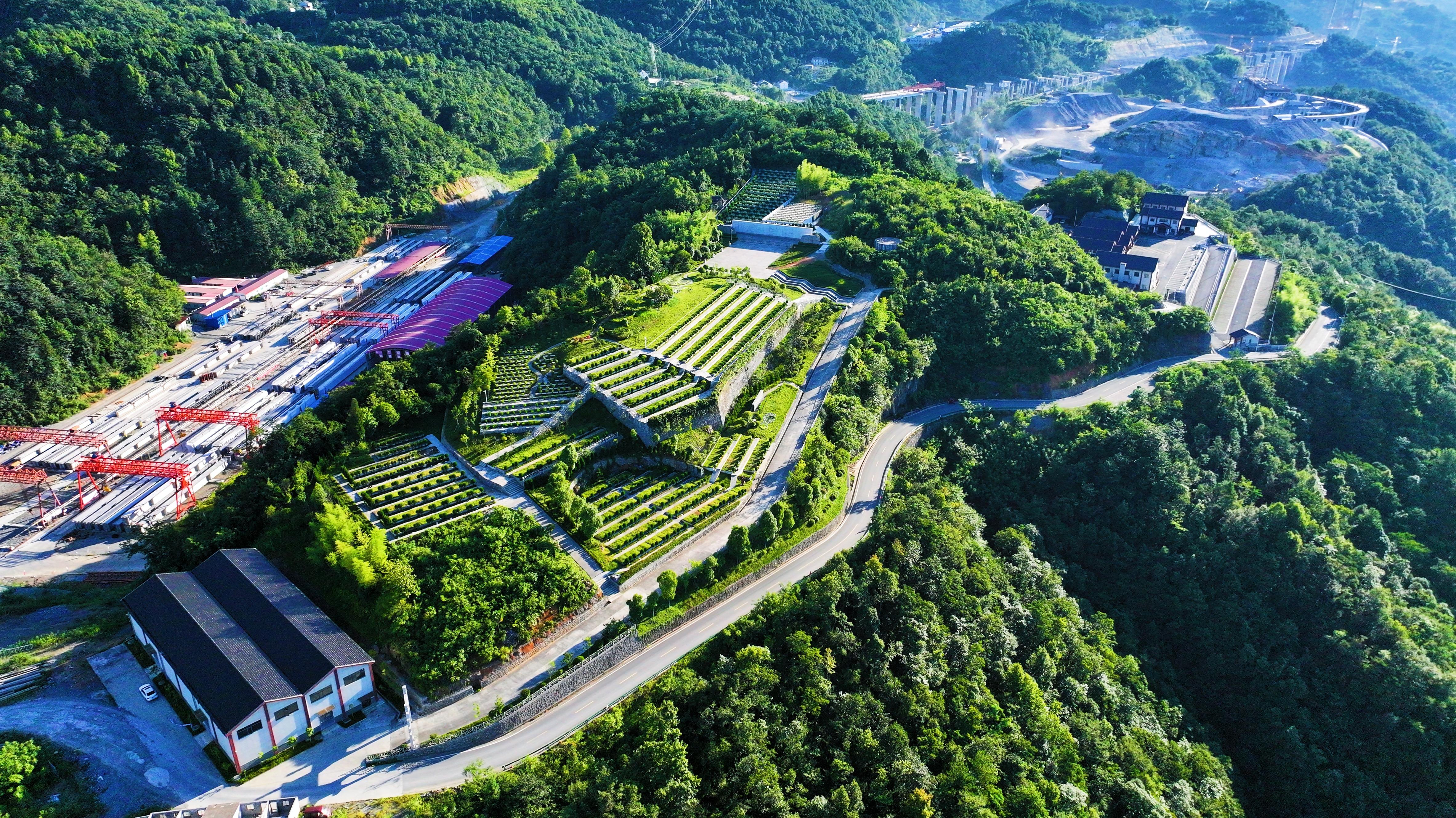 凤凰山公墓园区图片