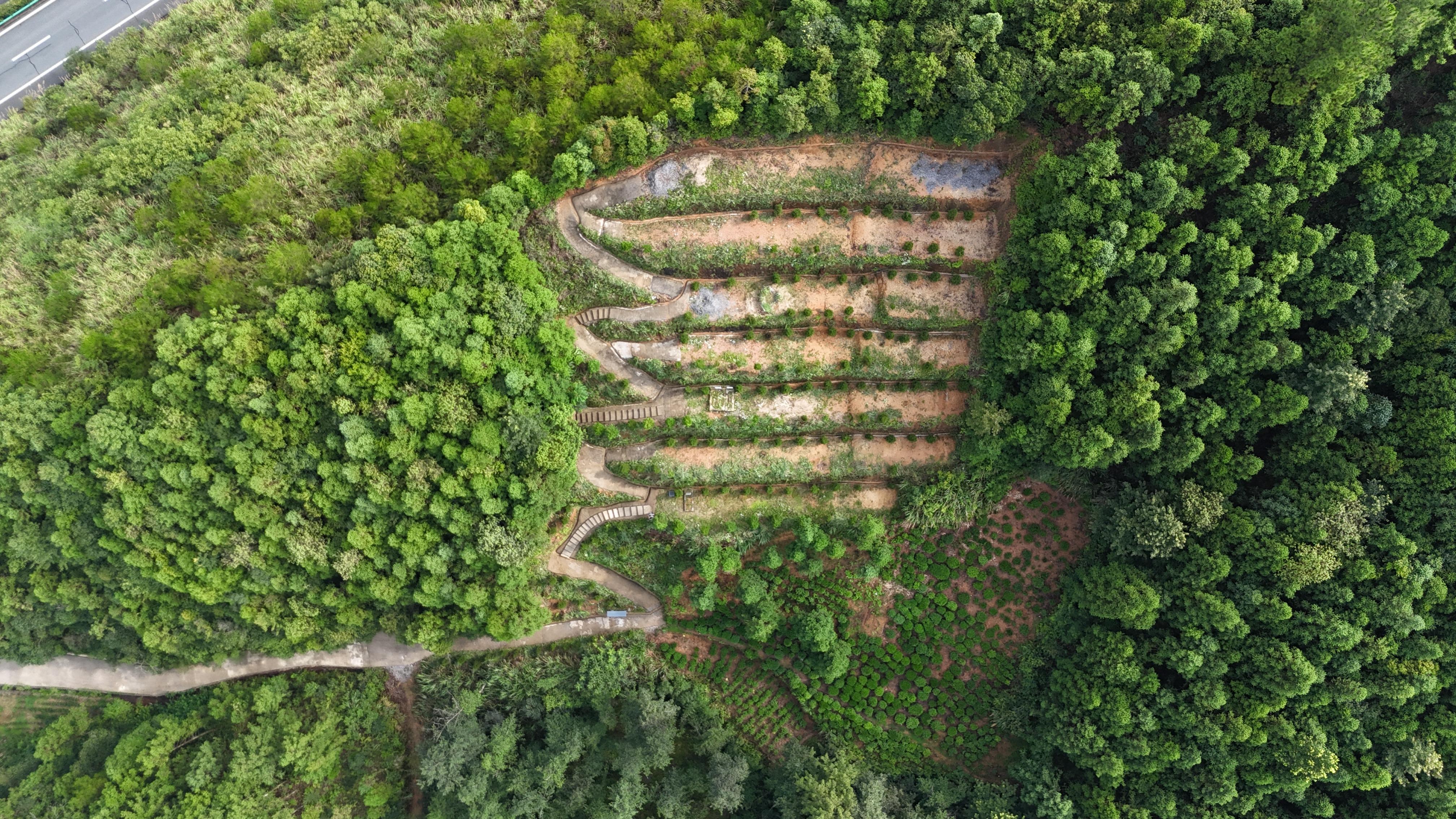 小路口镇晨光村公益性公墓园区图片