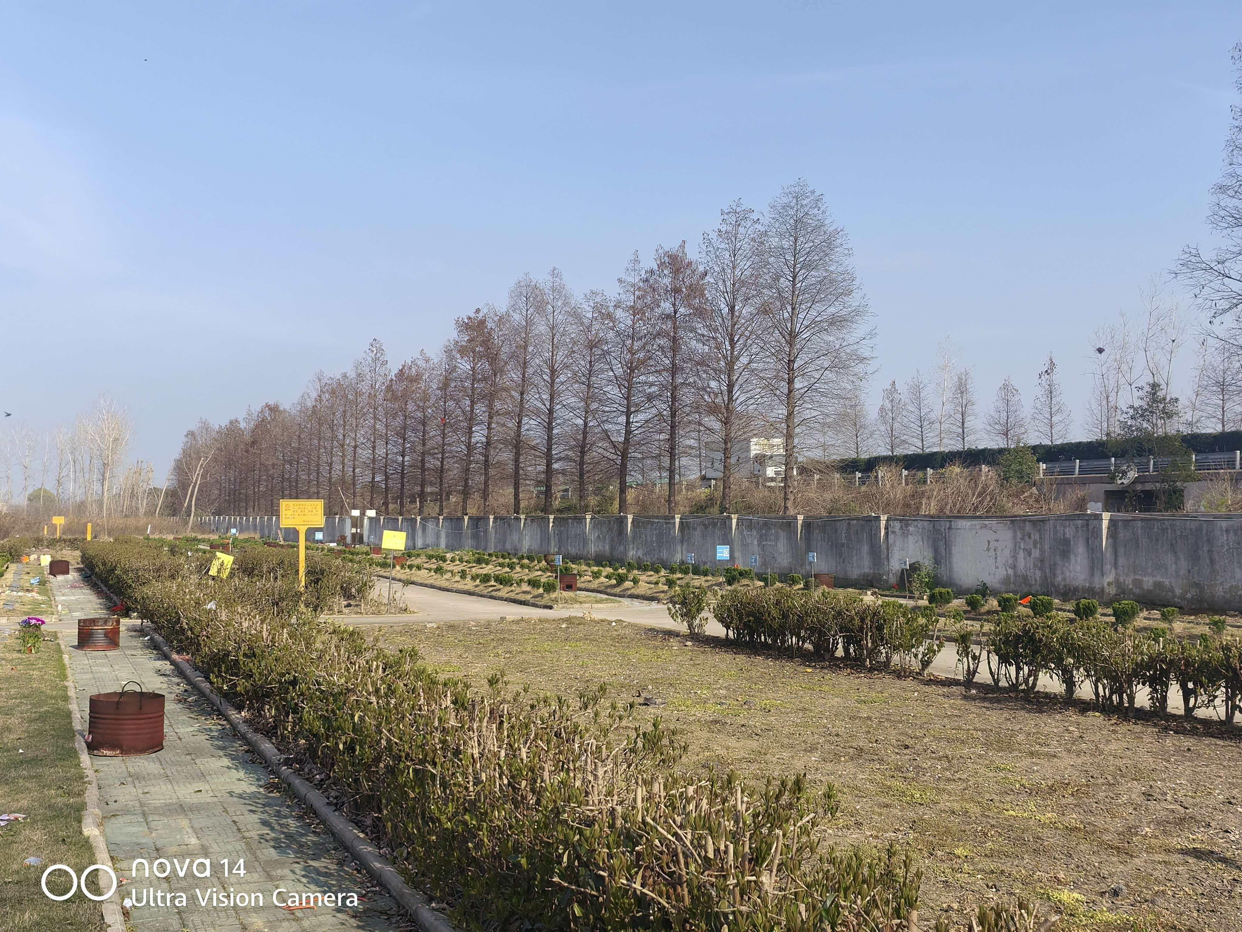 泰州市海陵区朱东树葬园园区图片