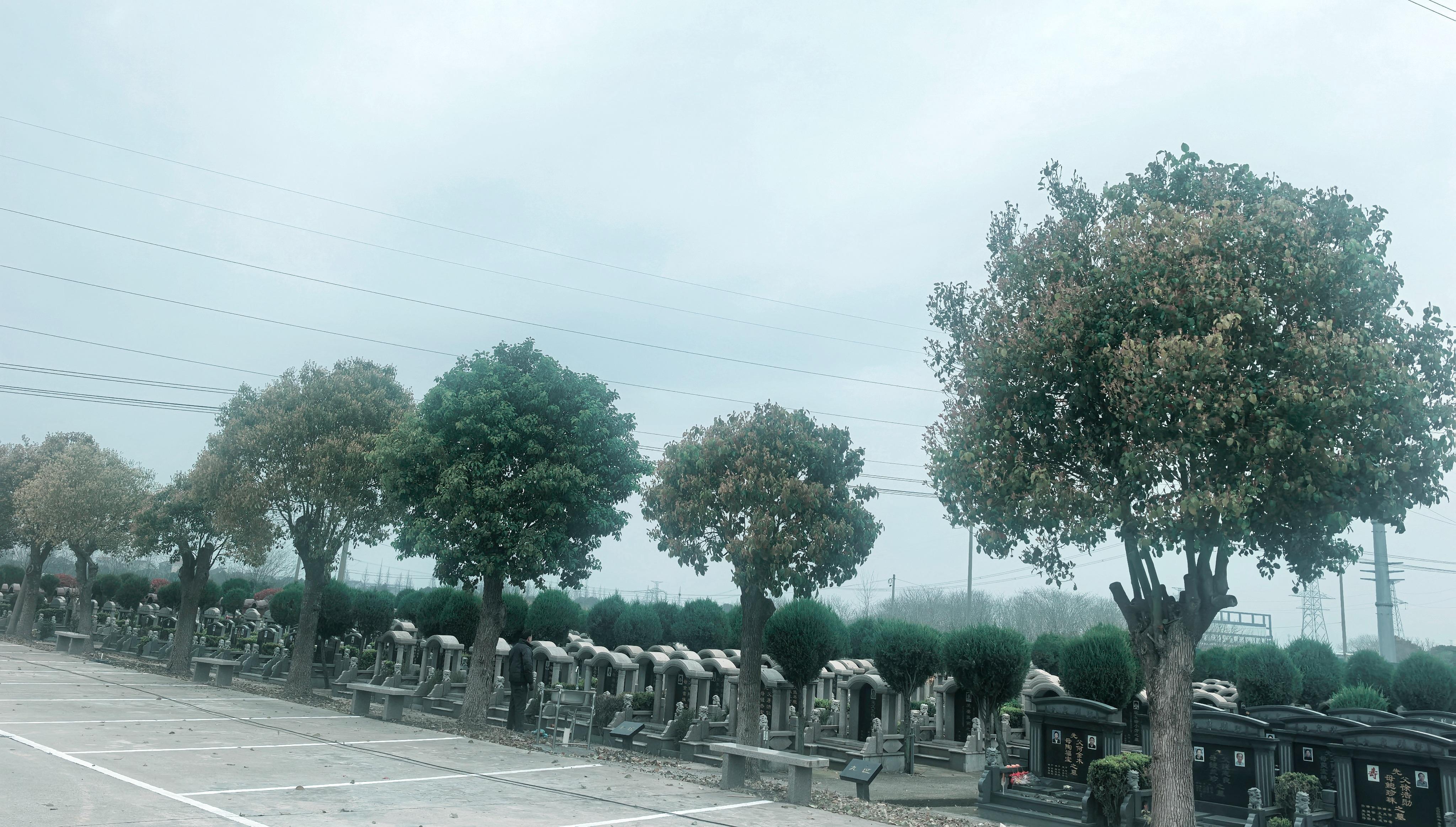 万秀公墓园区图片