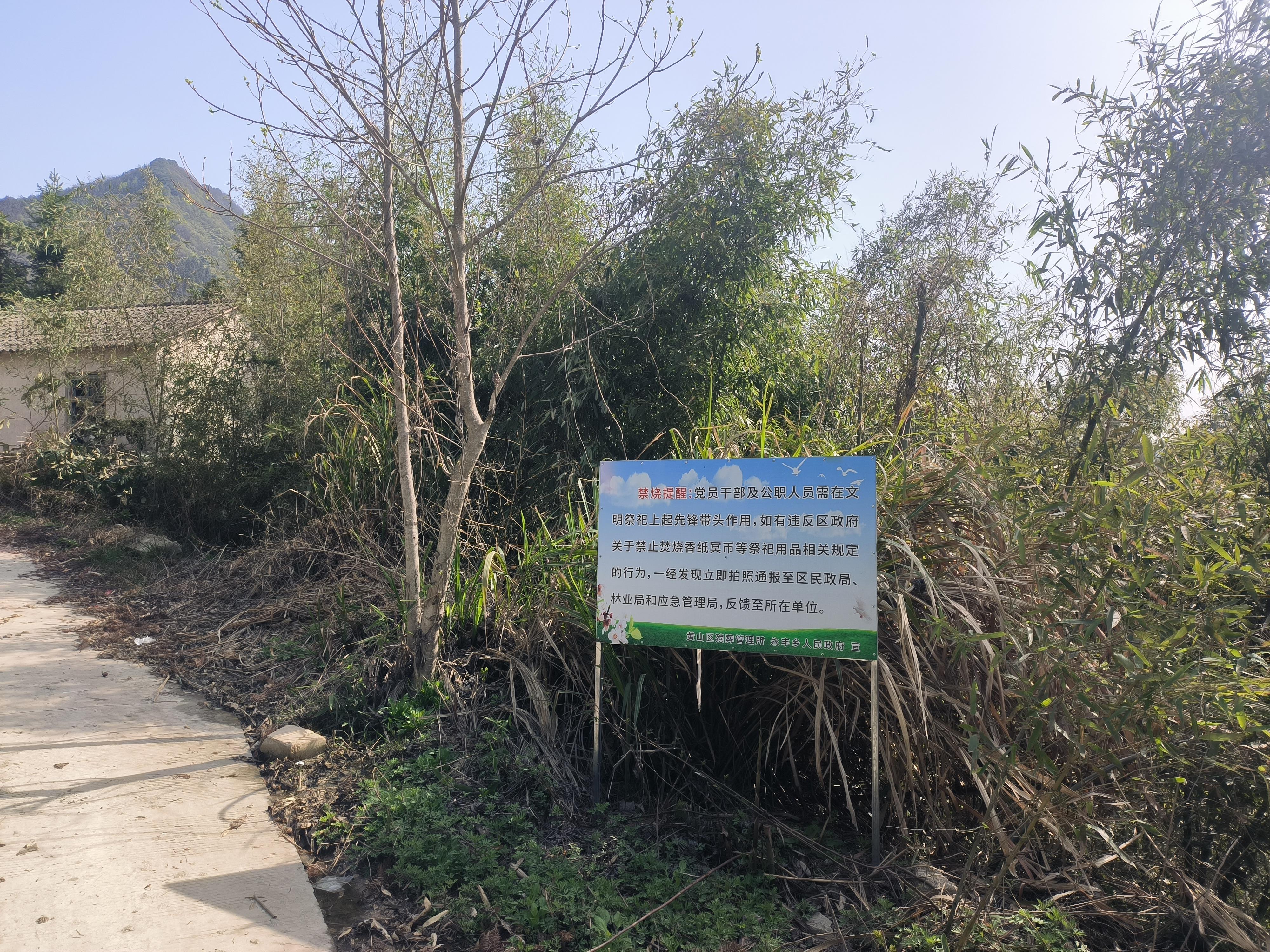 永丰乡农村公益性公墓园区图片