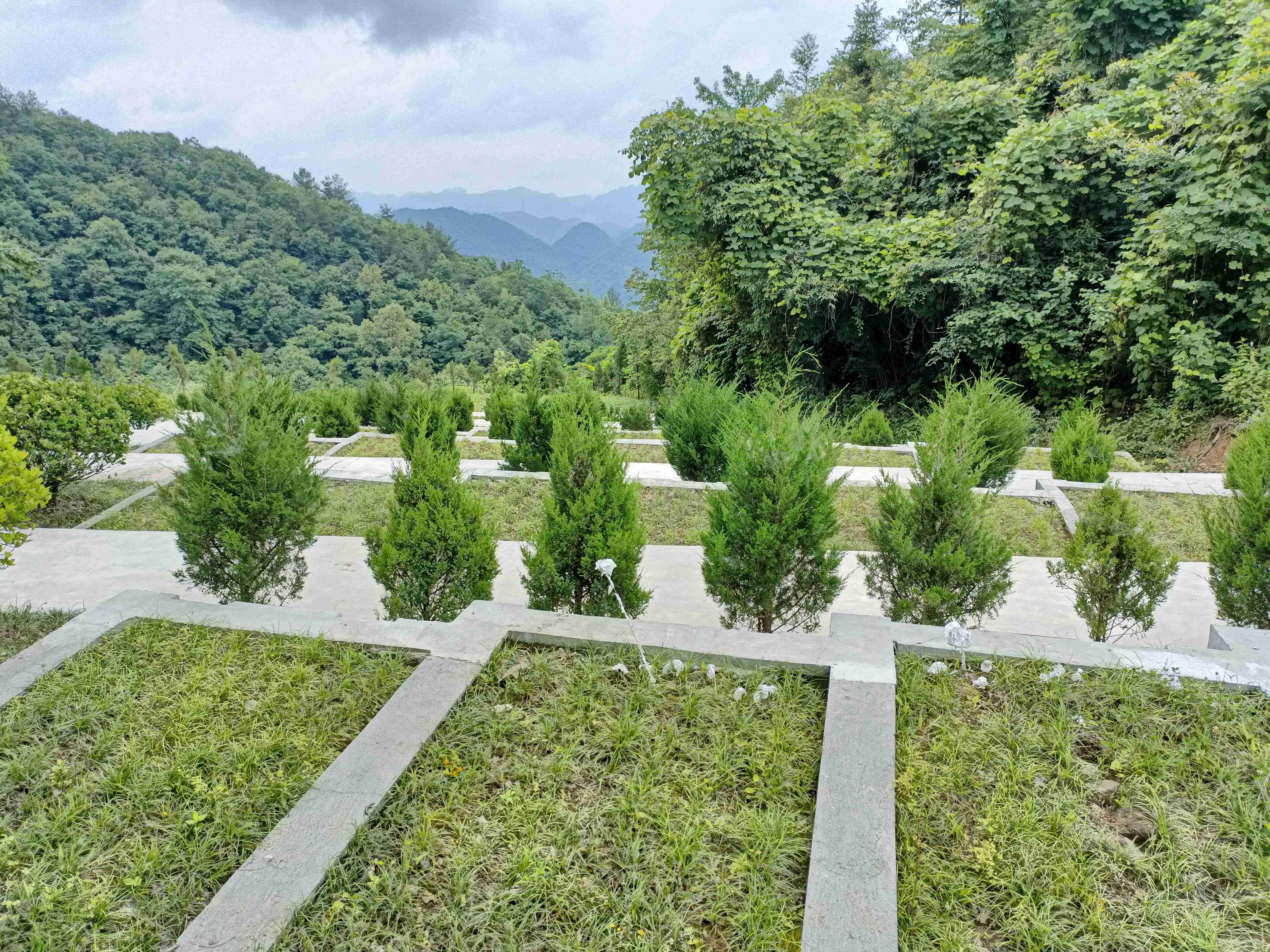 洞口村农村公益性公墓园区图片