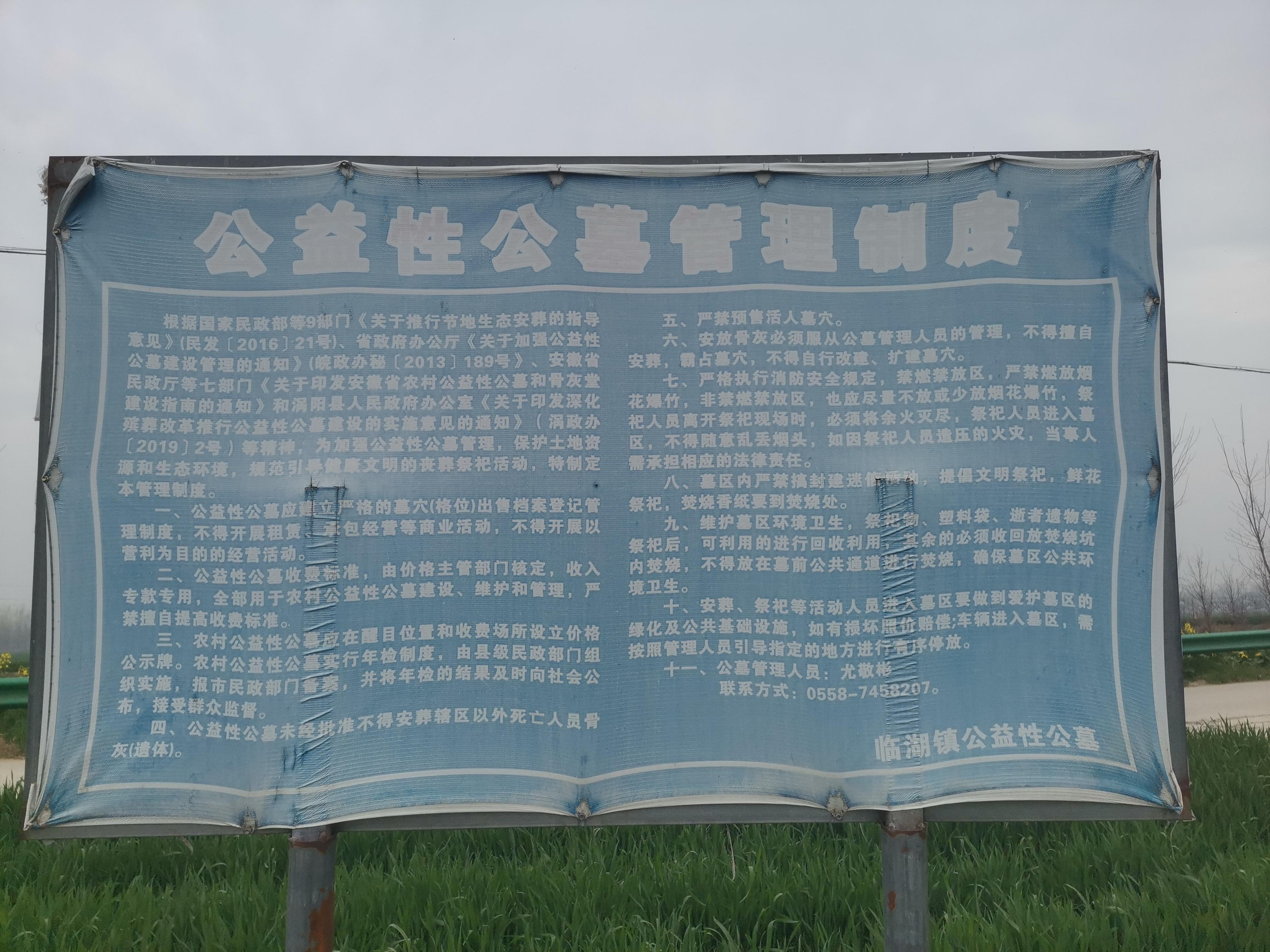 临湖镇公益性公墓园区图片