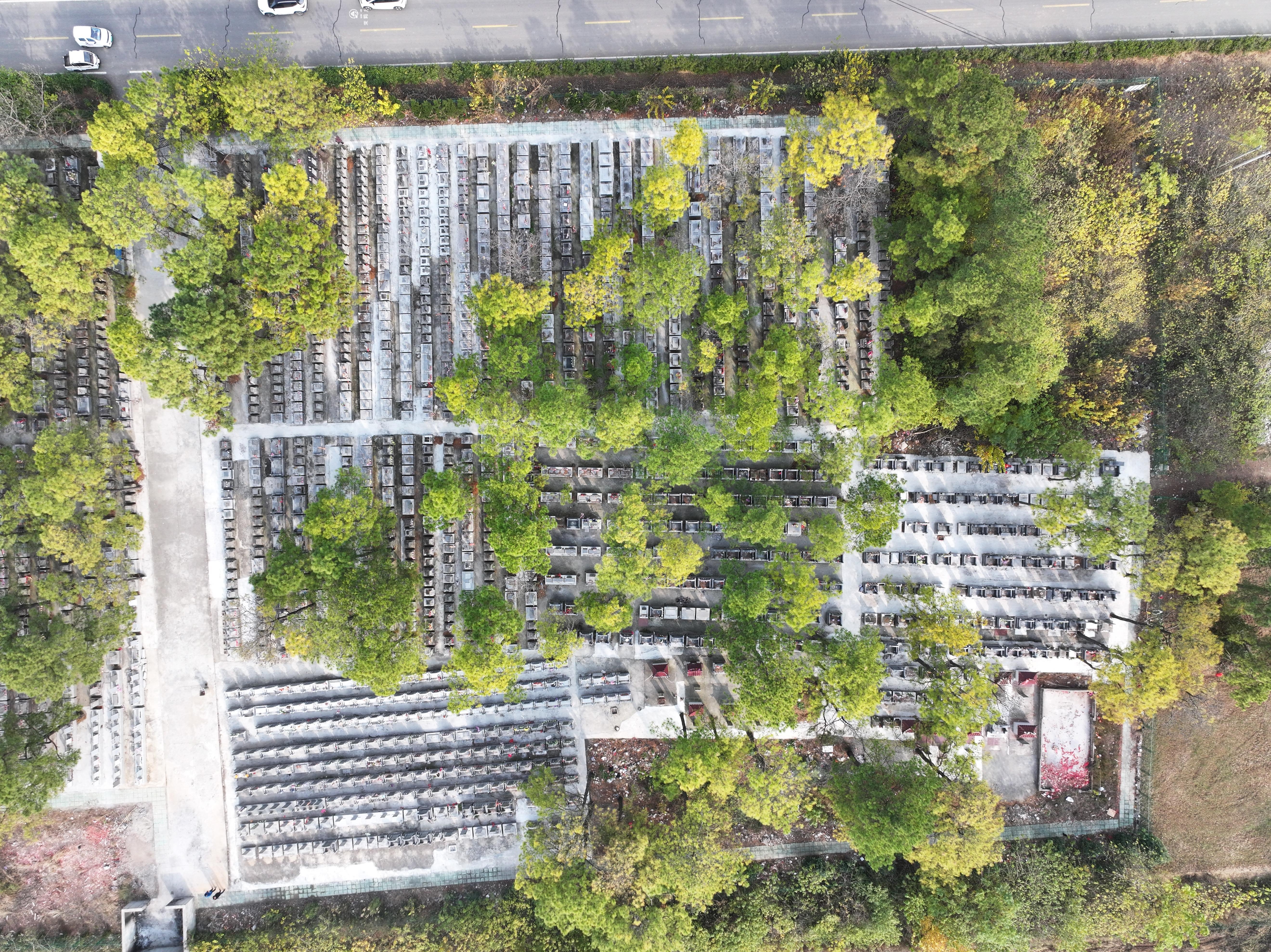 六合区马鞍街道大圣林场公墓园区图片
