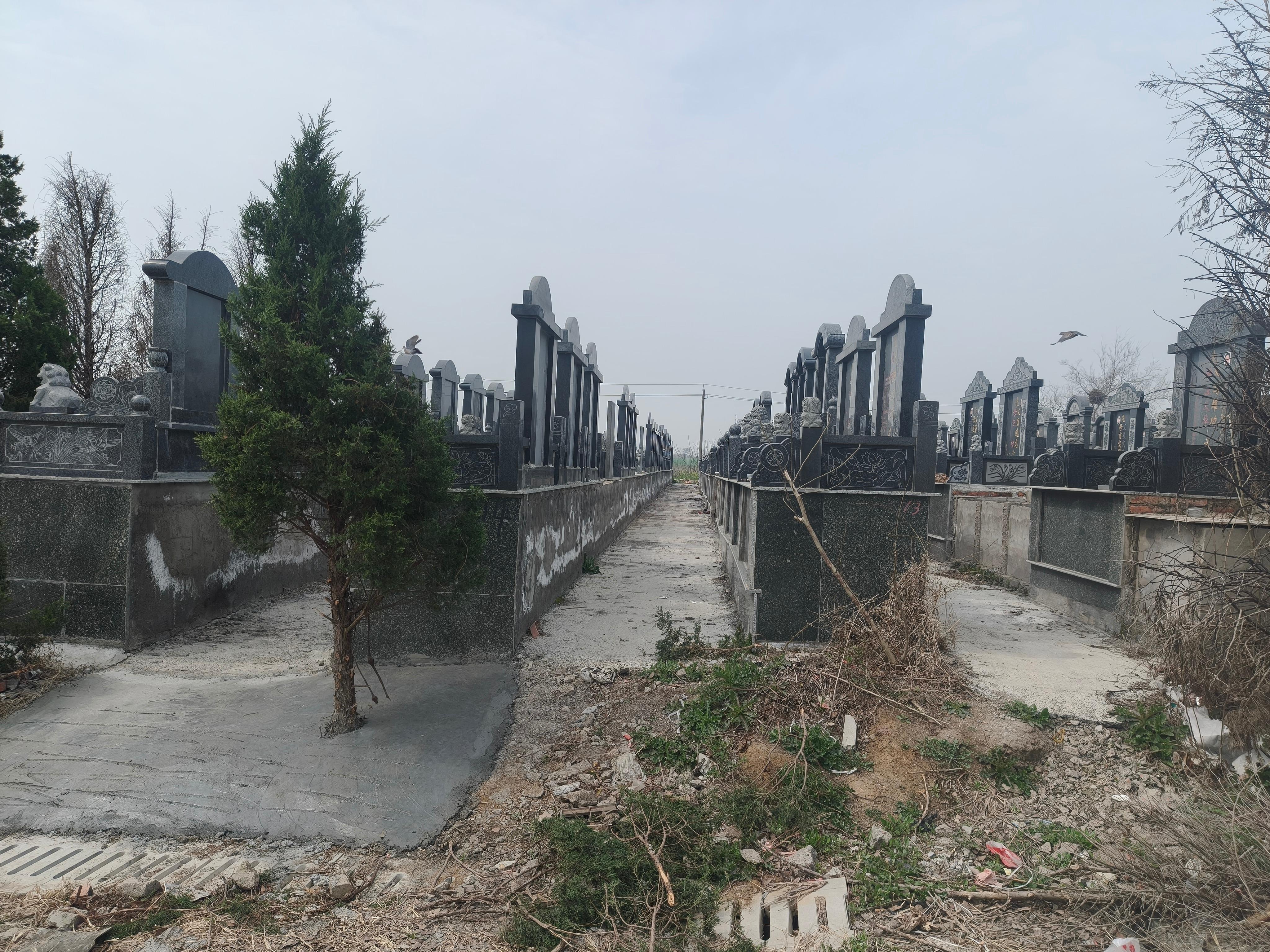 明光市苏巷镇老岳山公墓园区图片