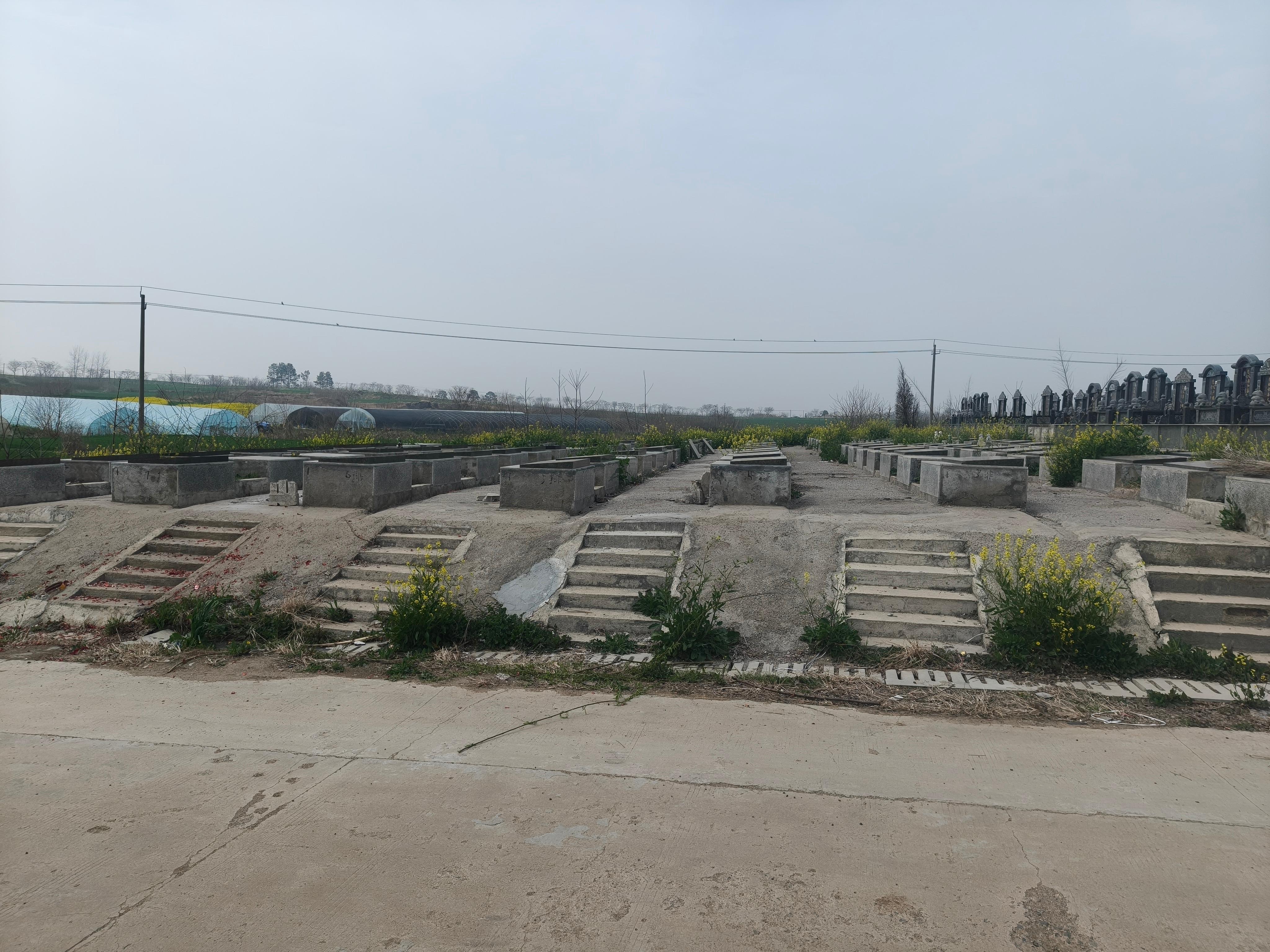 明光市苏巷镇老岳山公墓园区图片