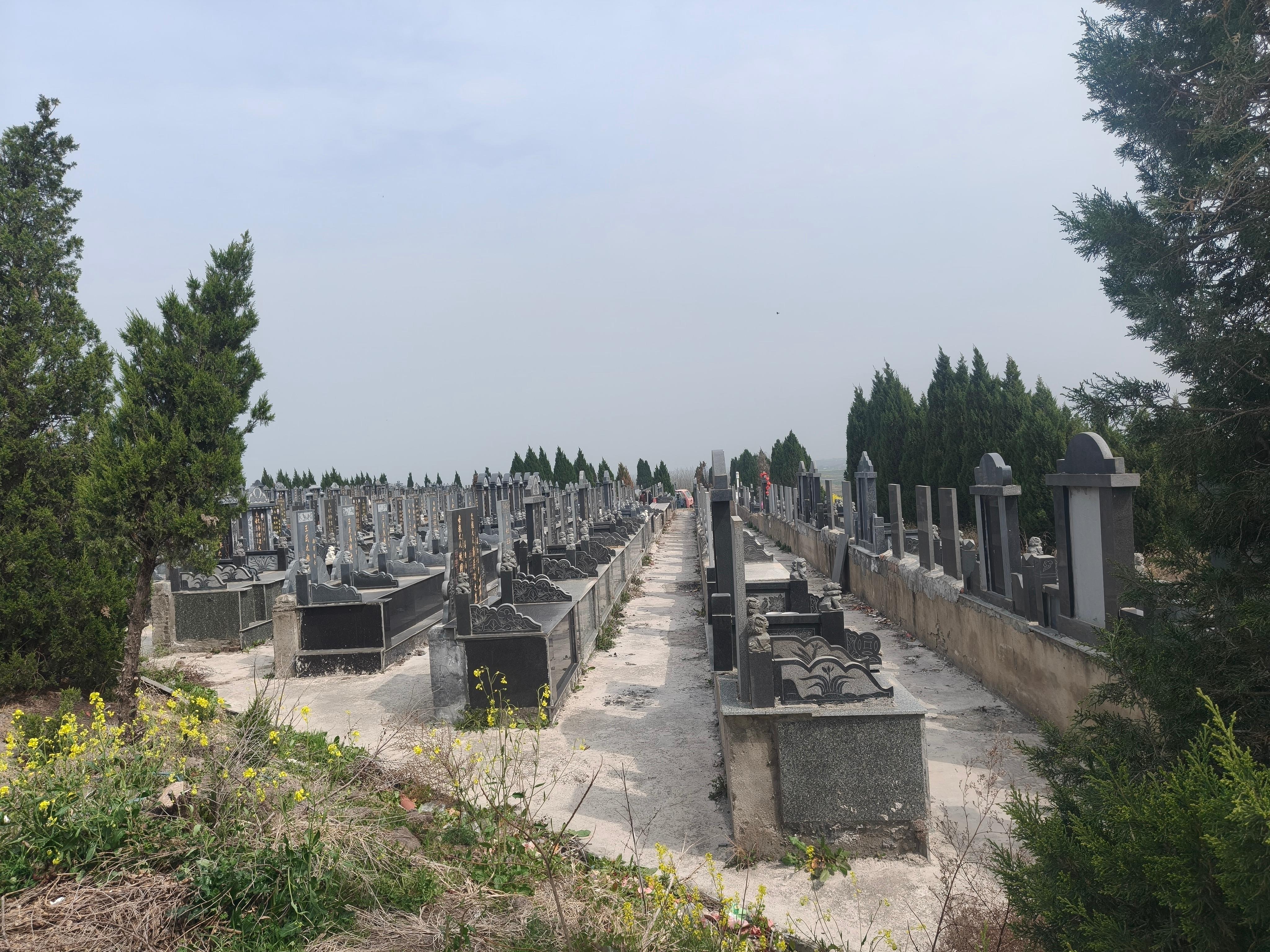 明光市苏巷镇老岳山公墓园区图片