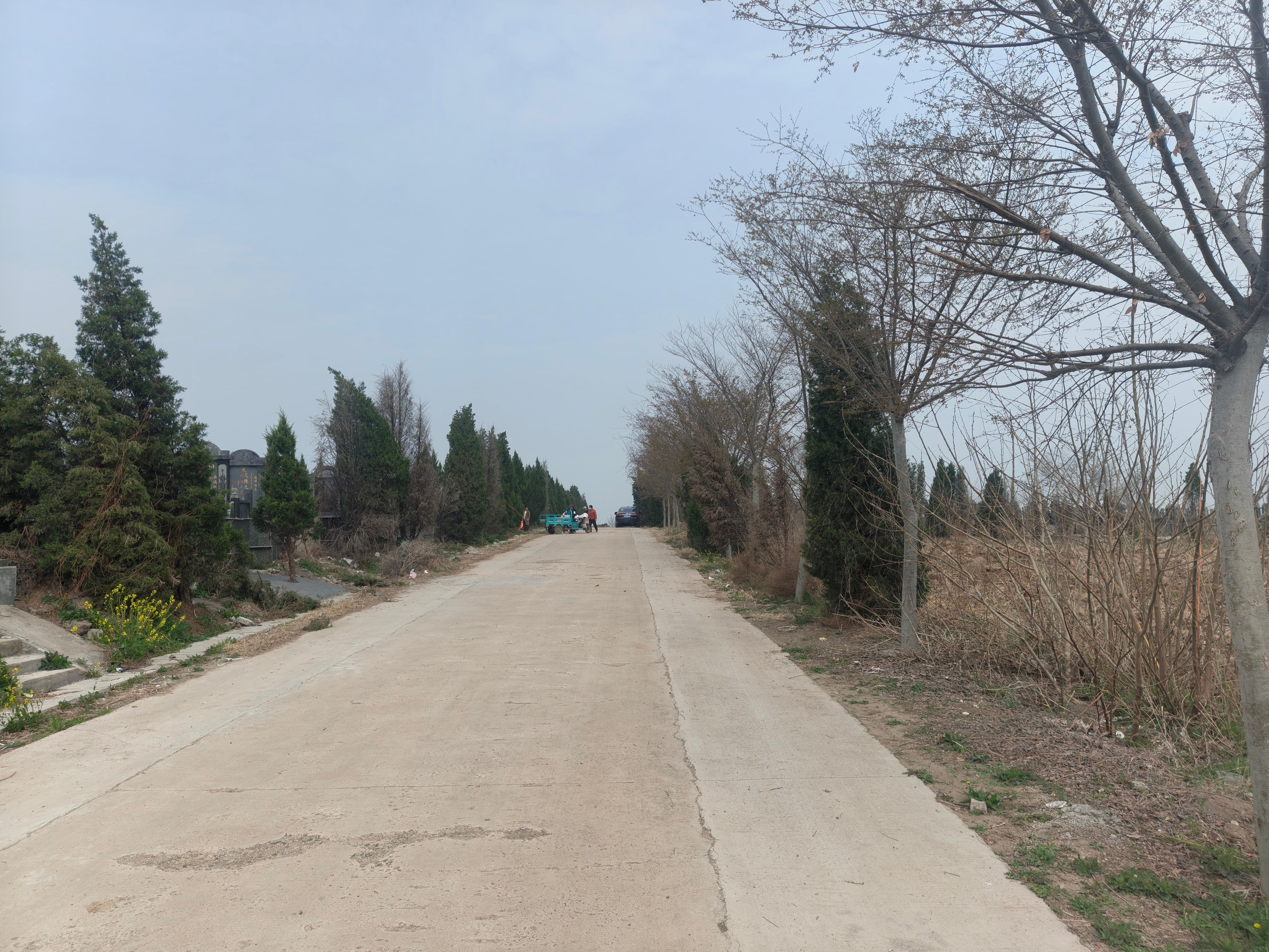 明光市苏巷镇老岳山公墓园区图片