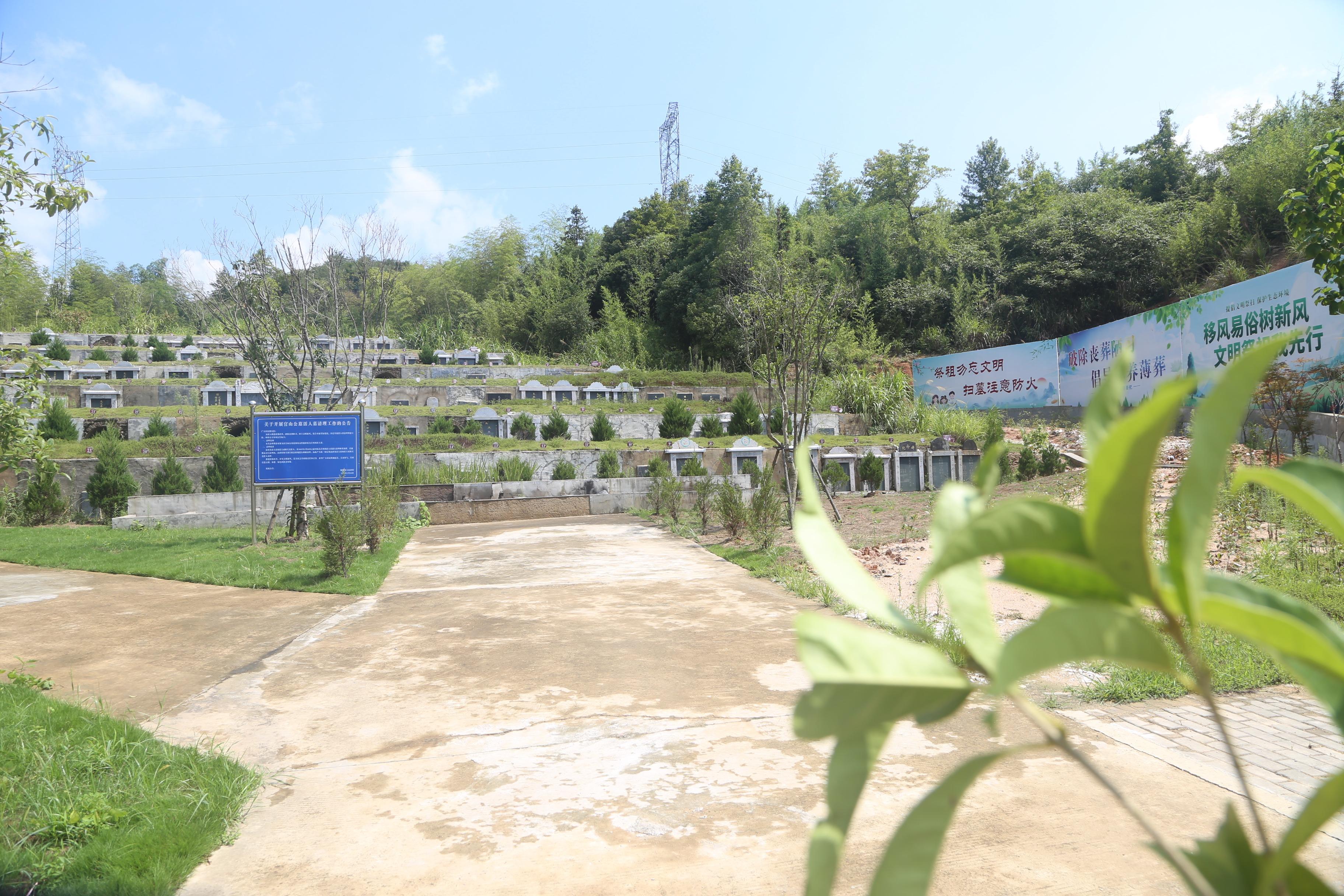 陵阳镇公益性公墓园区图片
