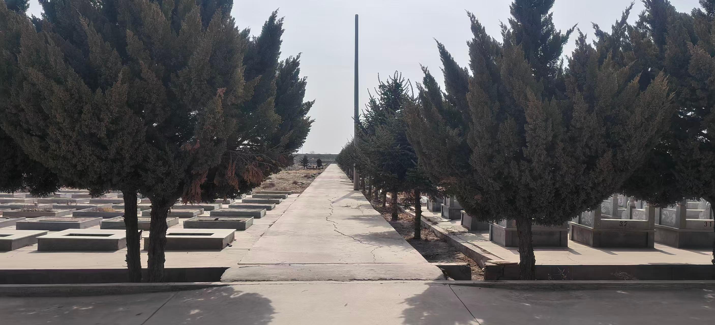 永丰公墓园区图片