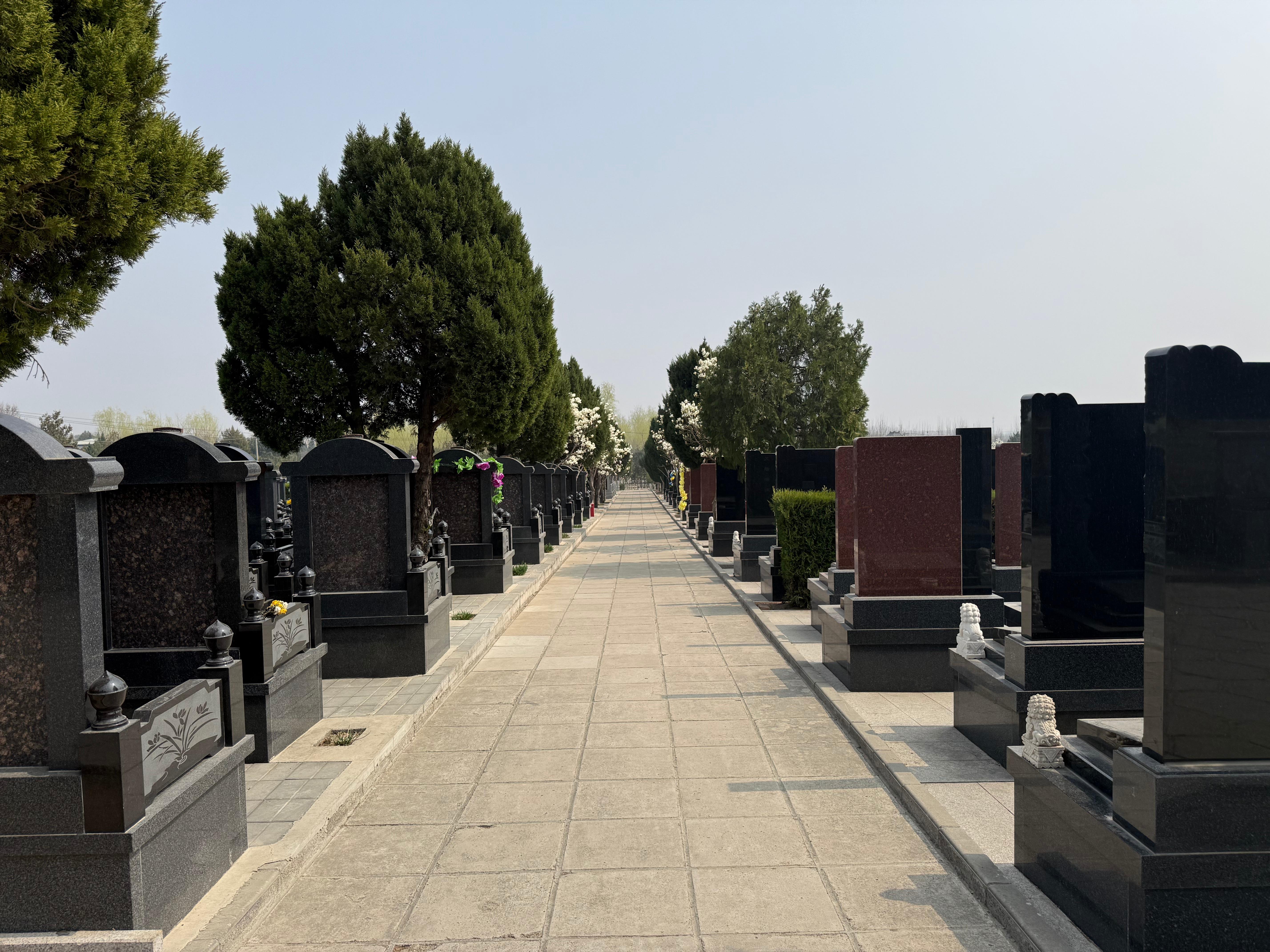 西山公墓园区图片
