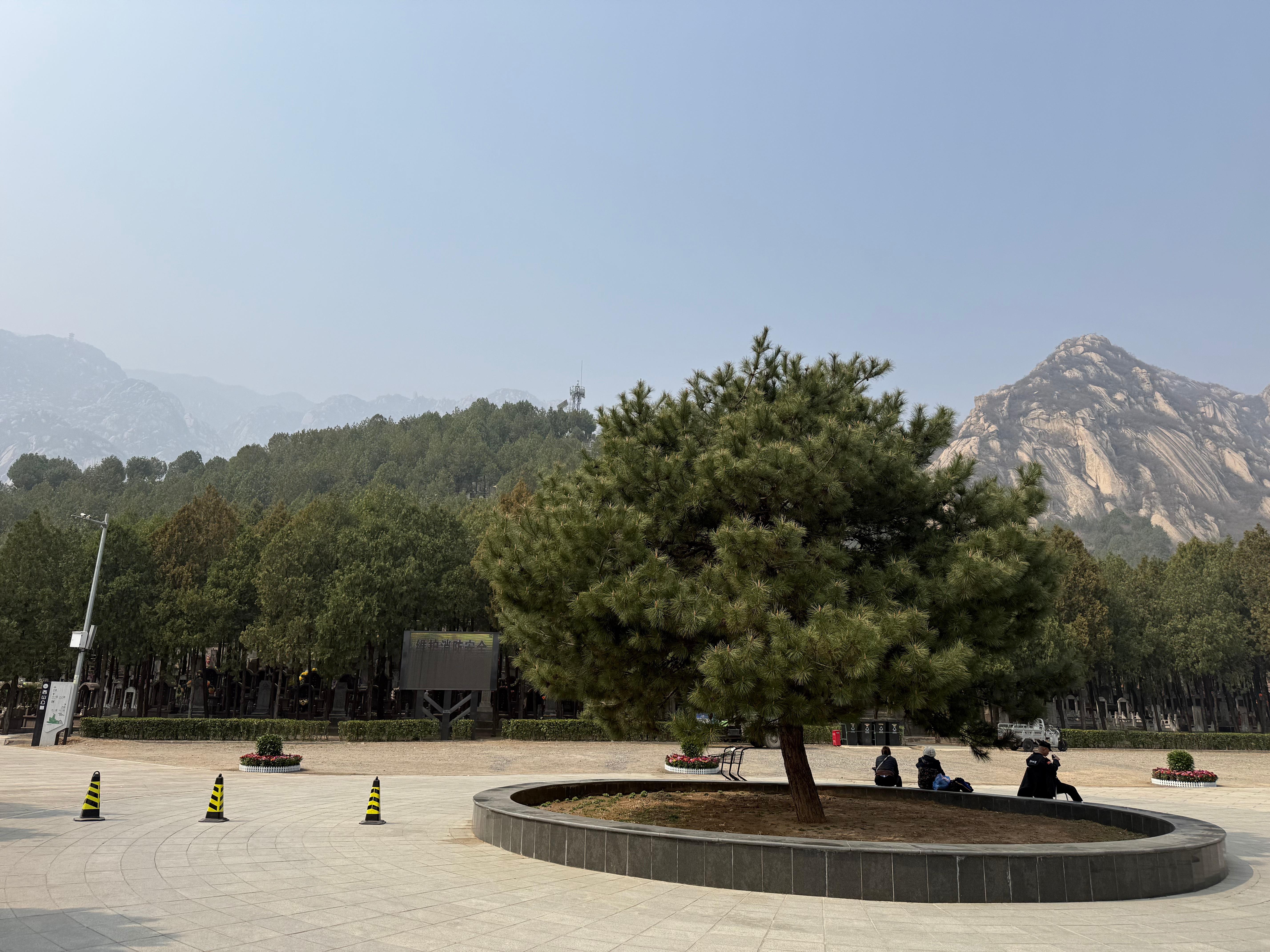 西山公墓园区图片
