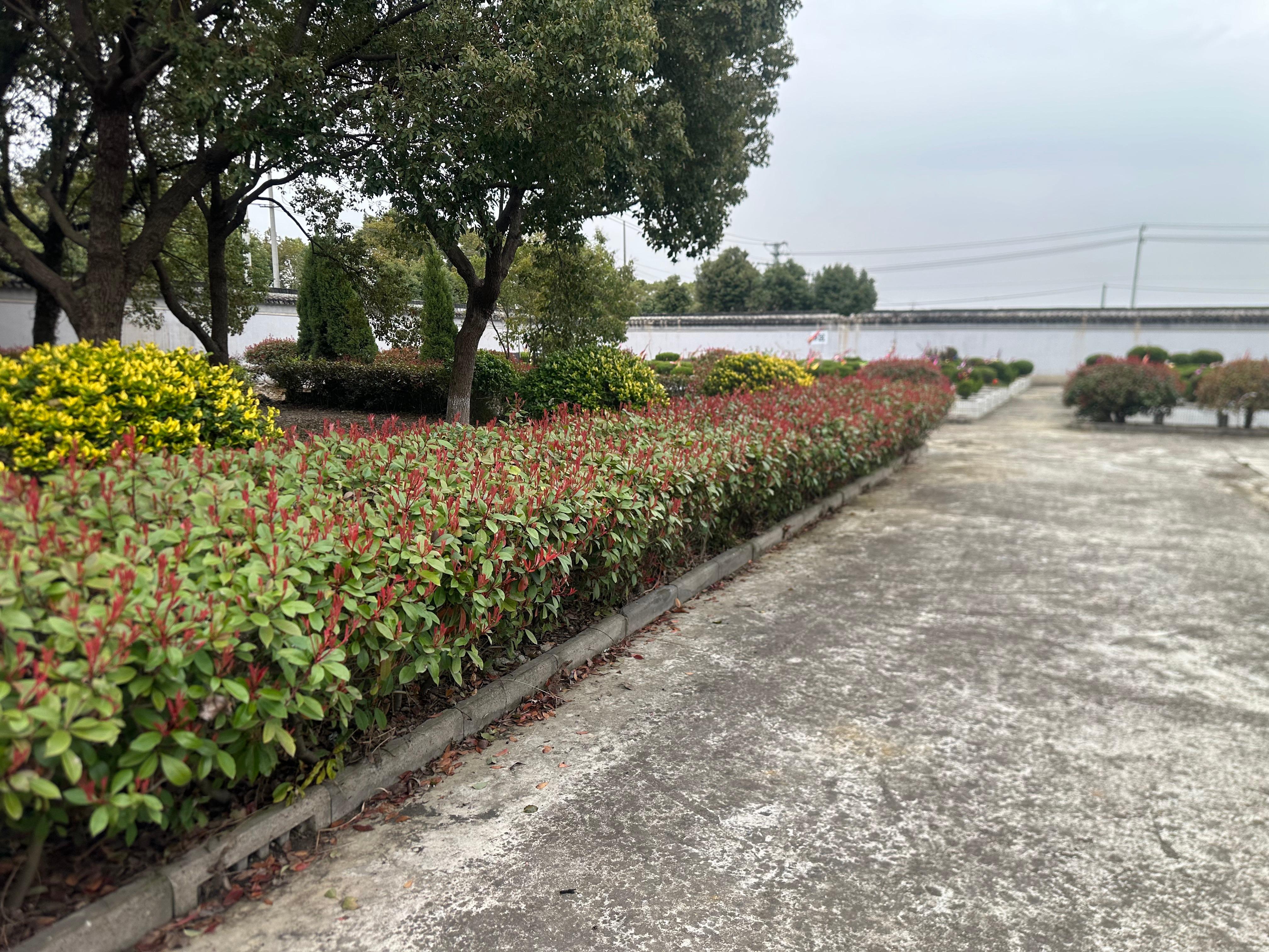 花园纪念堂园区图片