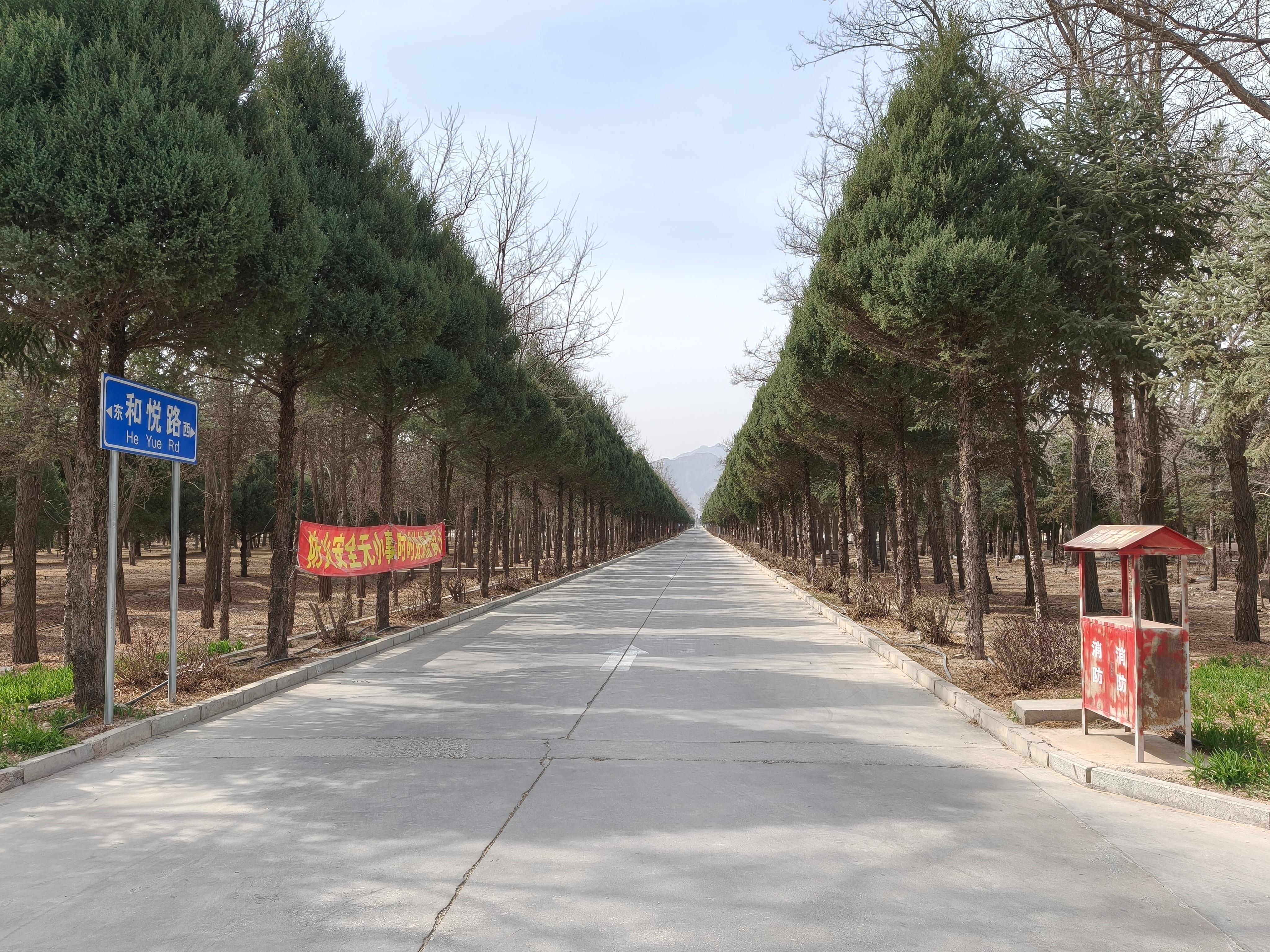 银川市榆树沟公墓（南区）管理所园区图片