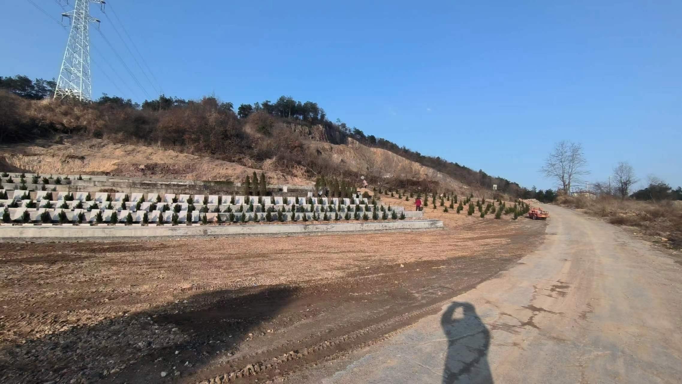 徐桥镇公益性公墓园区图片