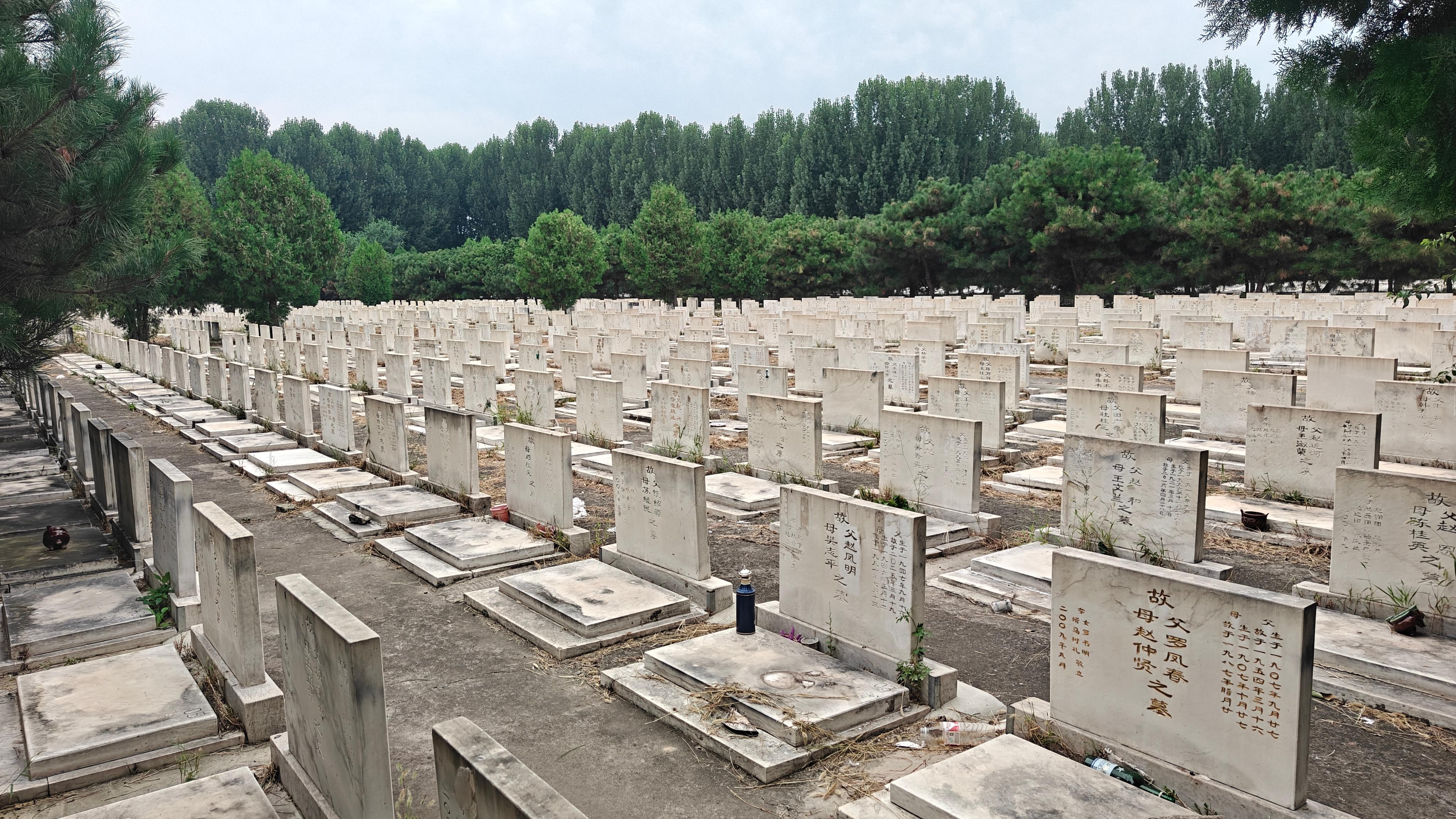 峪口镇公益性公墓园区图片