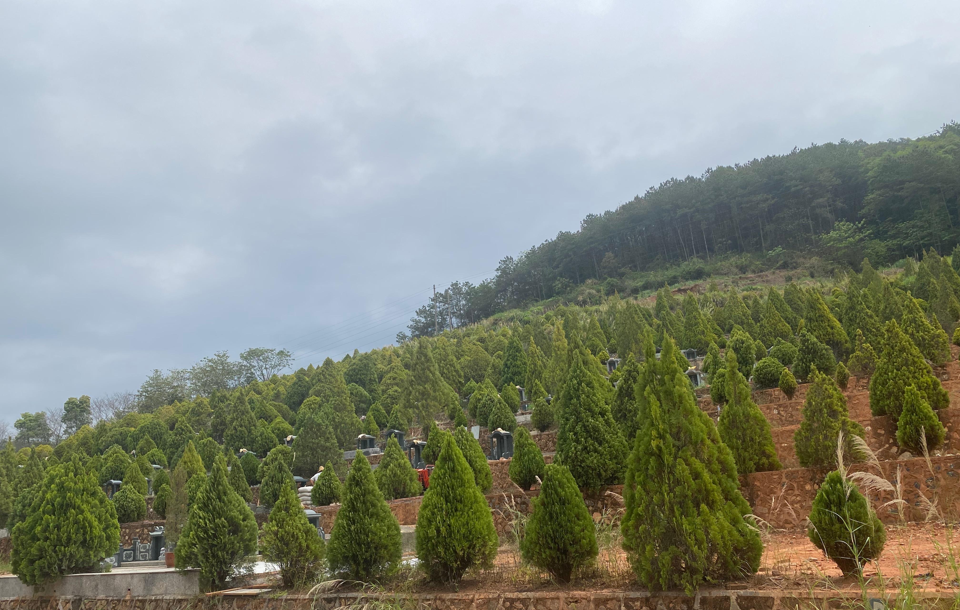 梅州市蕉岭县蕉华公益性墓园园区图片