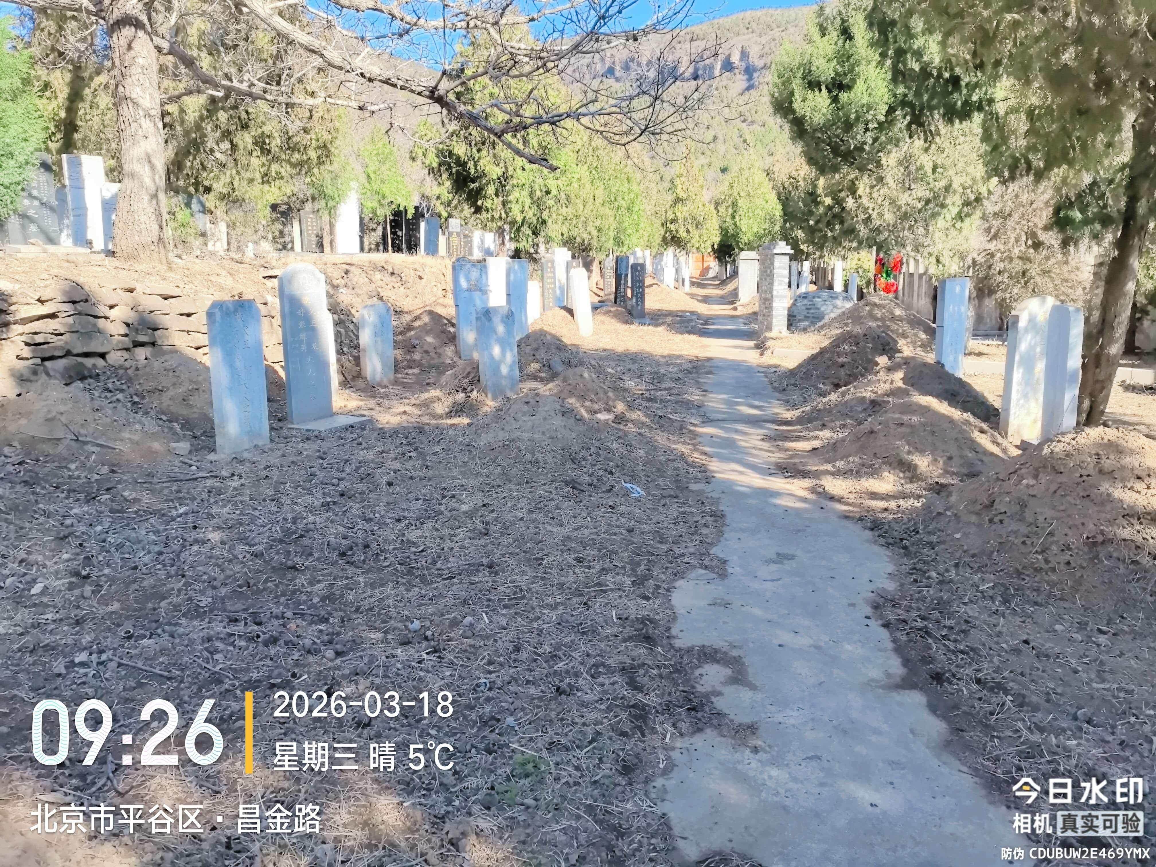 平安街村公益性公墓园区图片