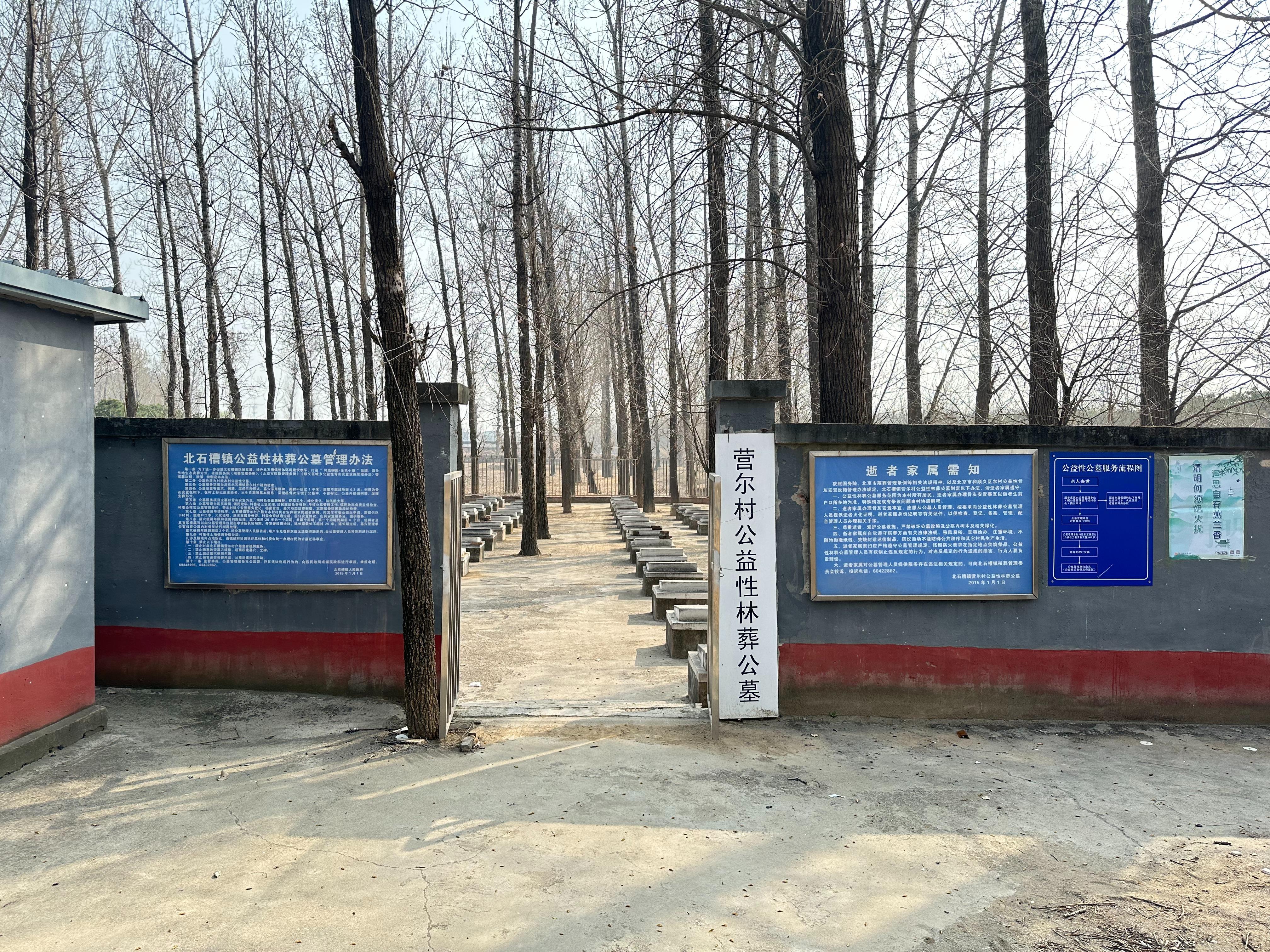 北京市顺义区北石槽镇营尔村公益性林葬公墓园区图片