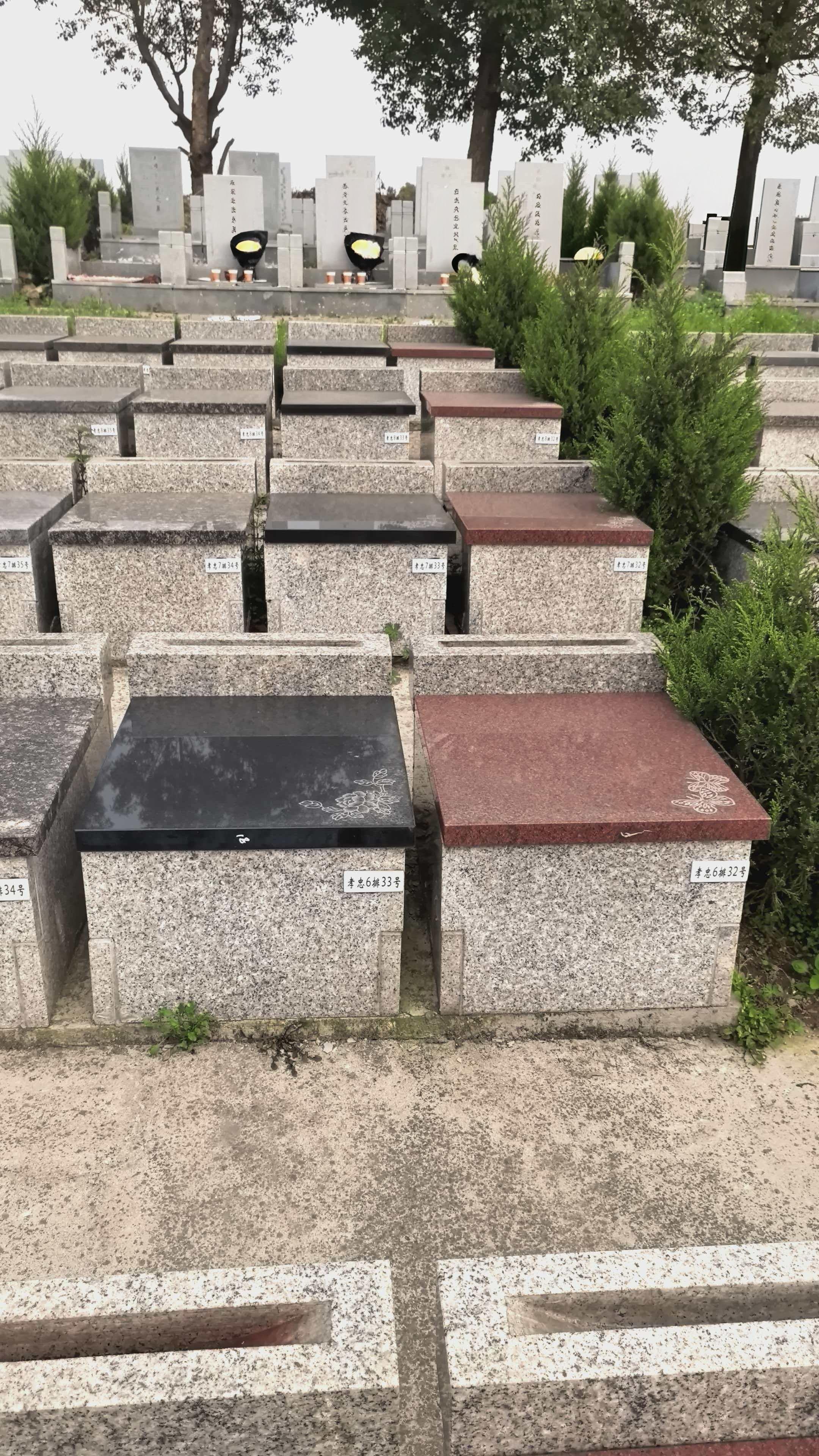 华夏陵园园区图片