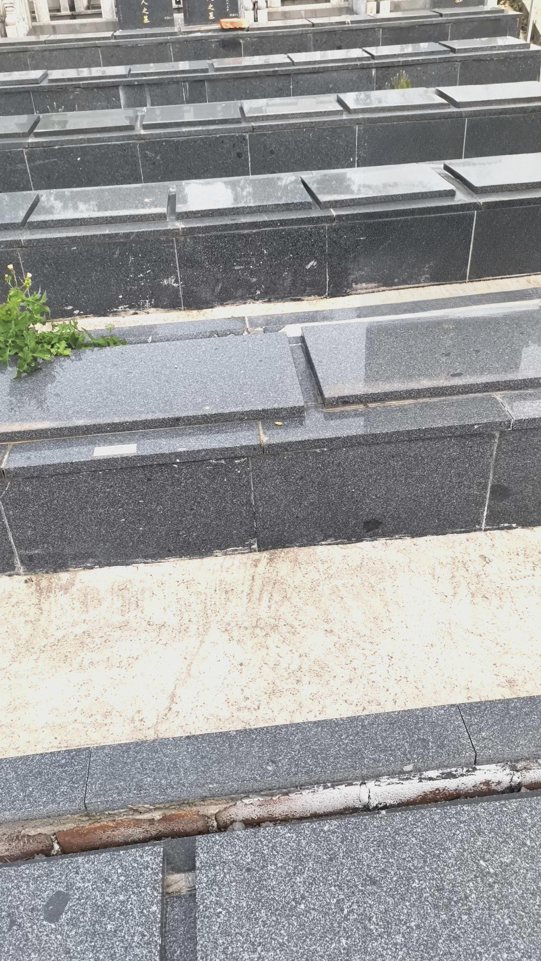 华夏陵园园区图片