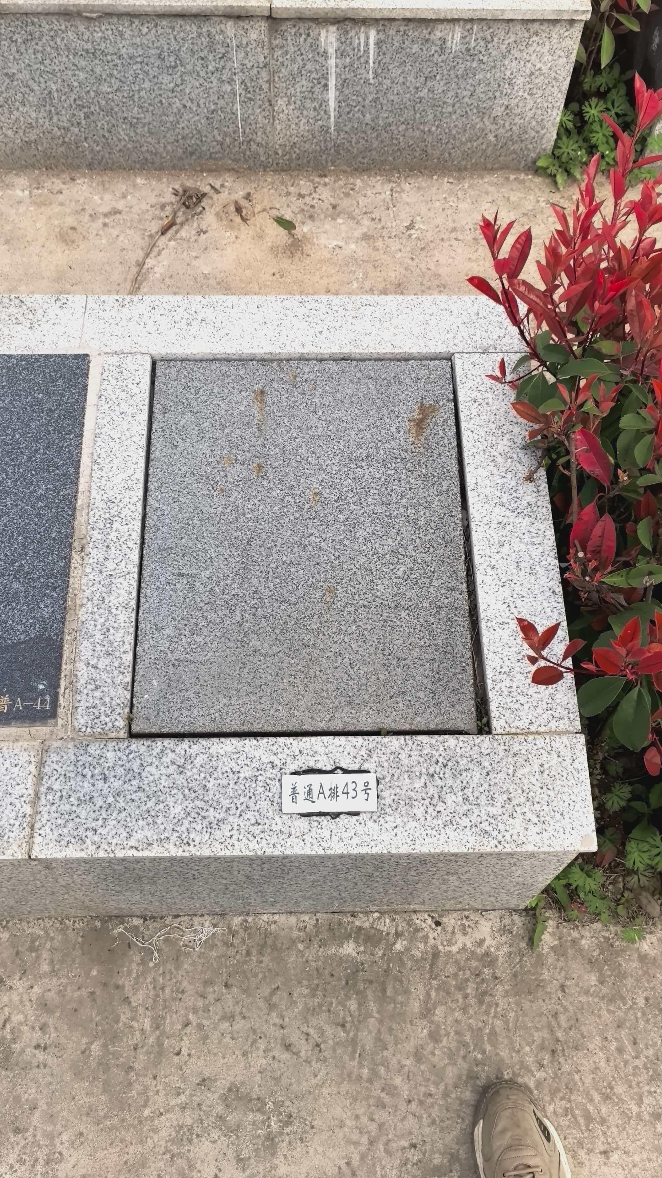 华夏陵园园区图片