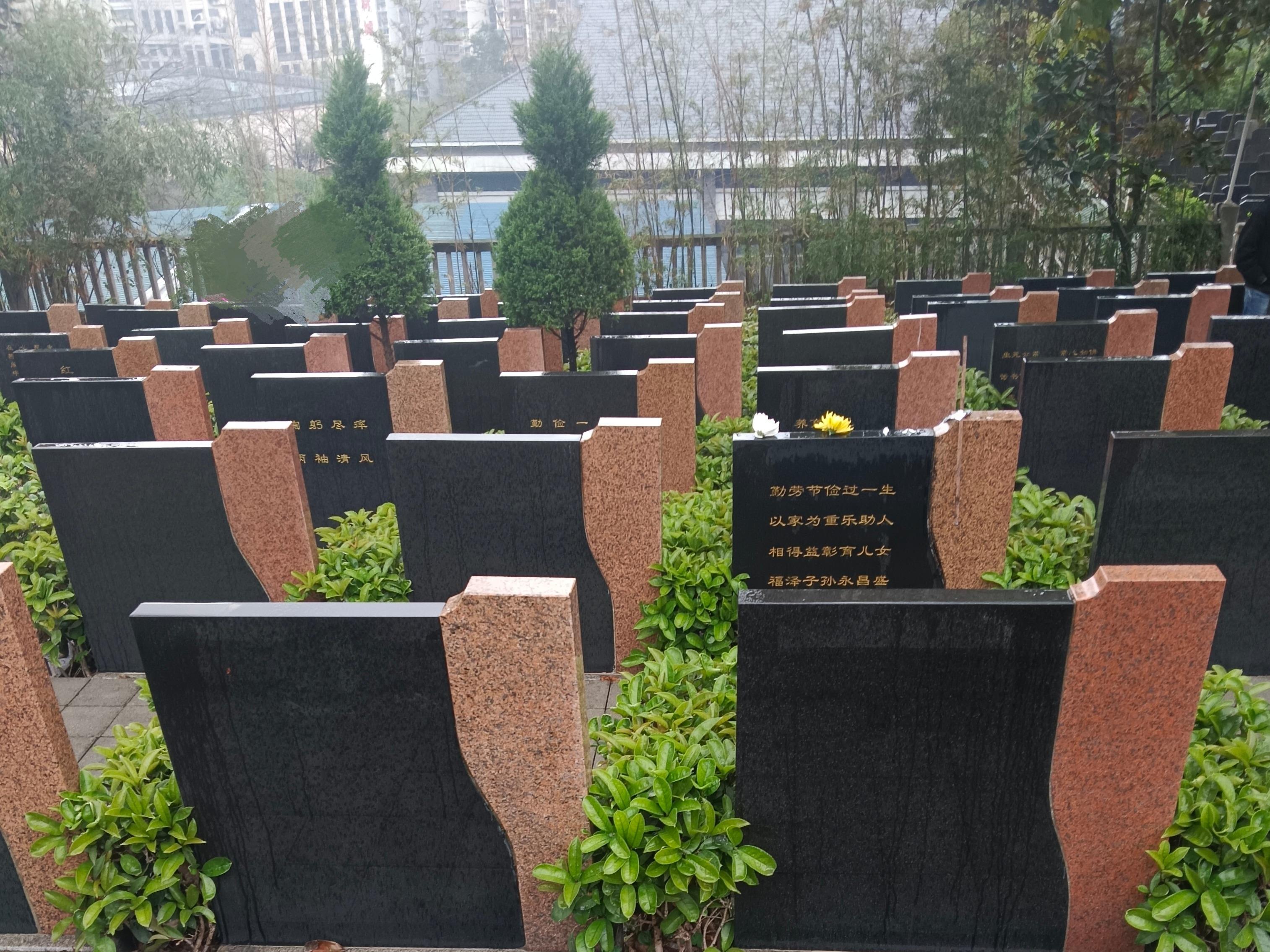 屏鼎山墓园园区图片