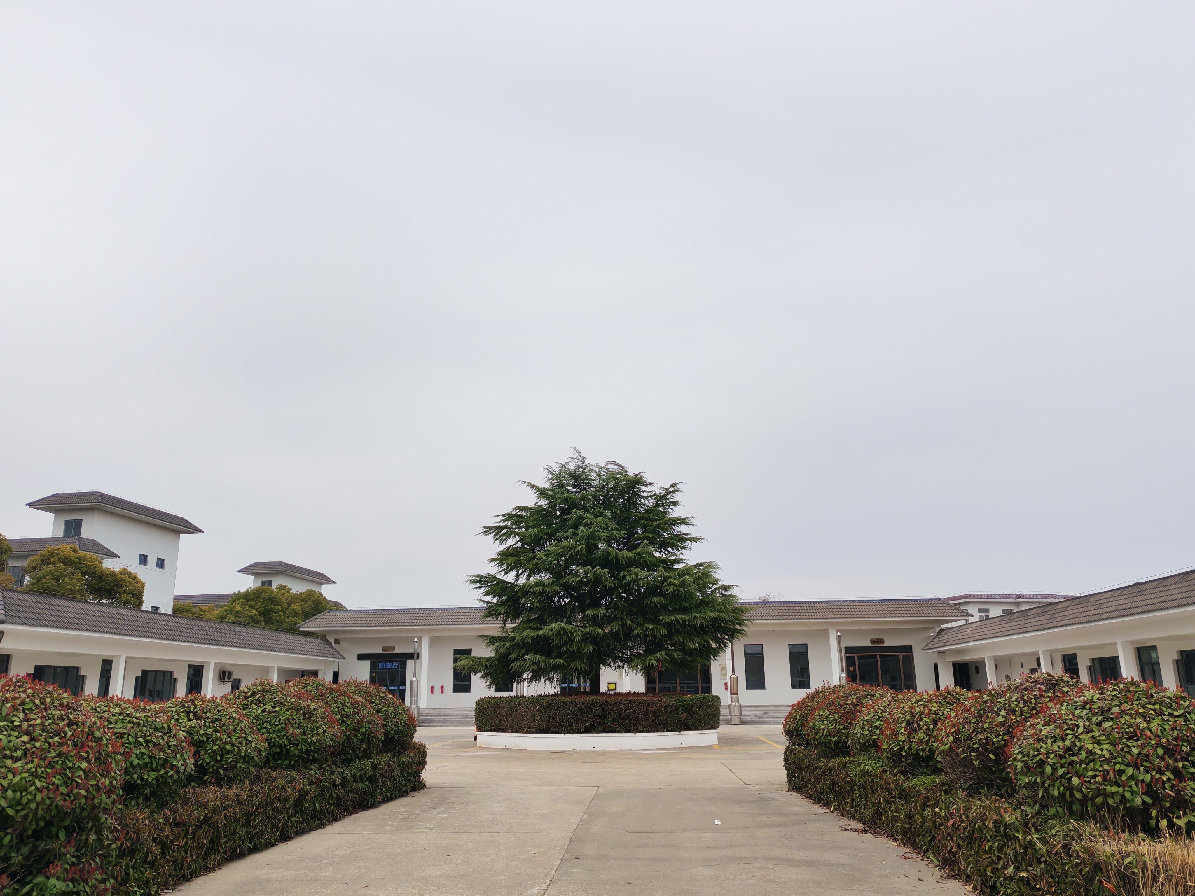 南通市崇川区陈桥彦明公墓园区图片