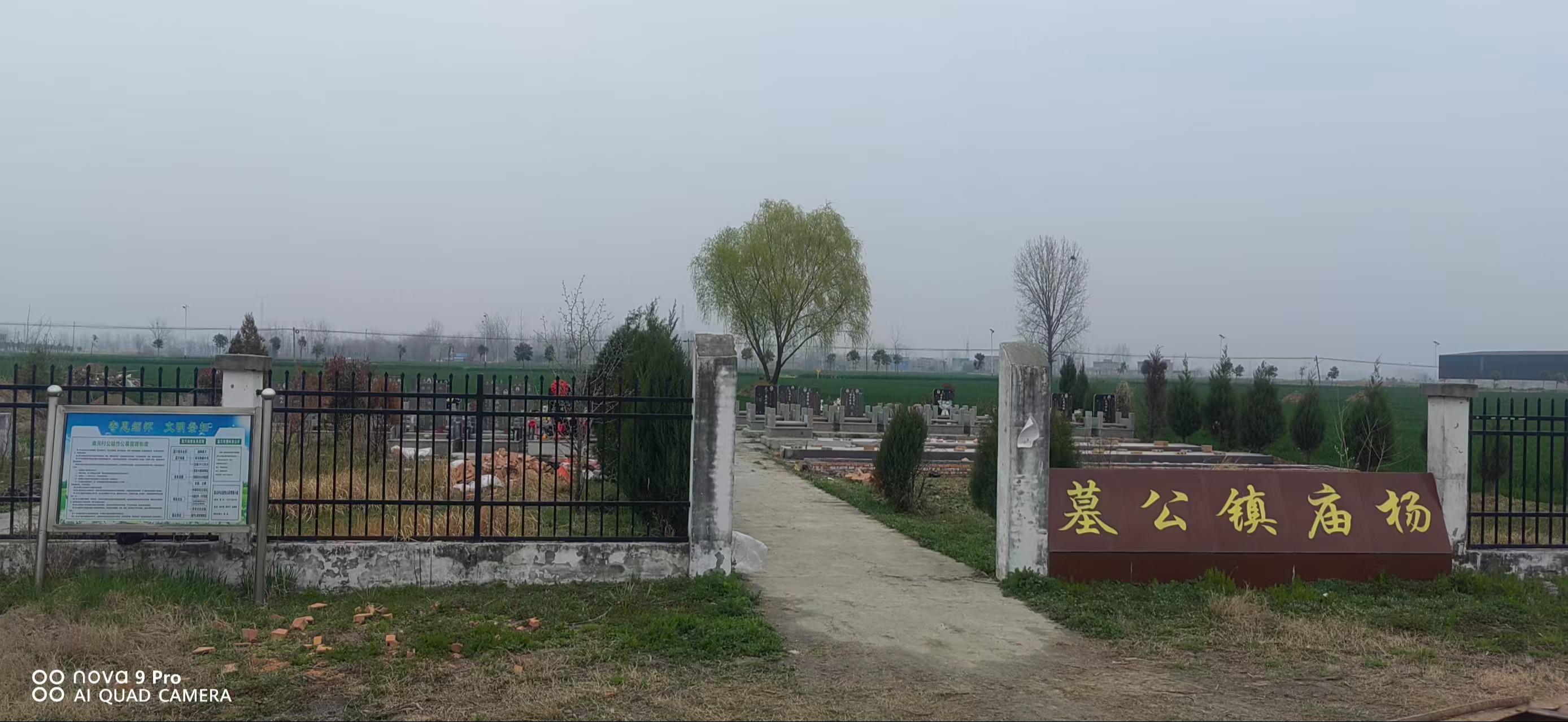 杨庙镇公益性公墓园区图片
