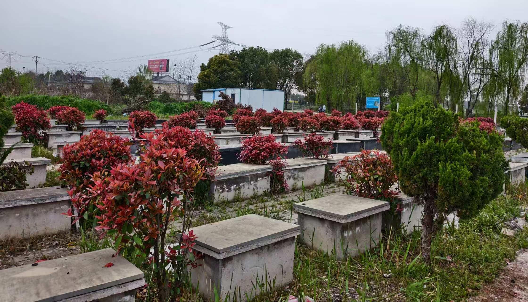 舒城县桃溪镇公益性公墓园区图片