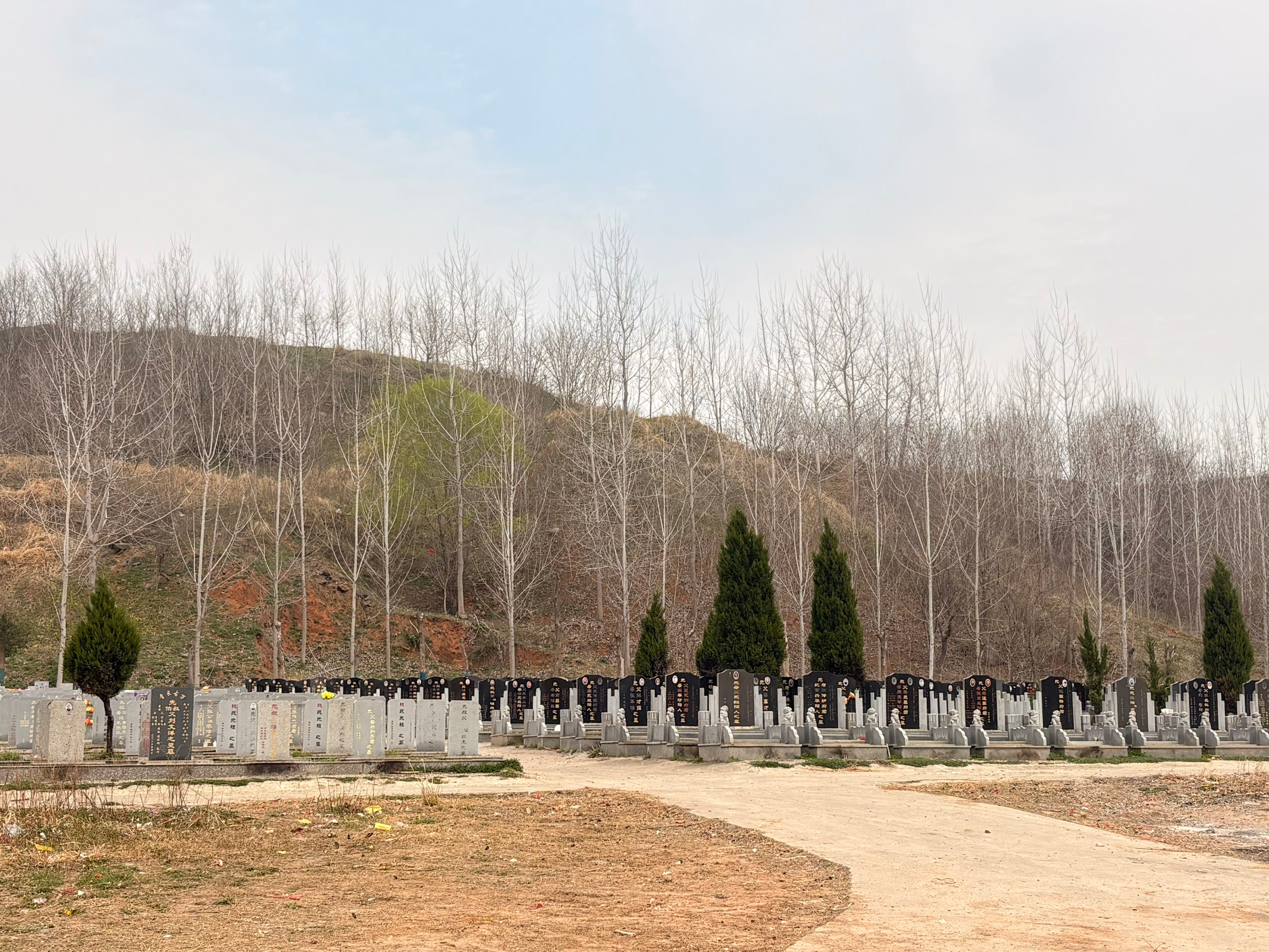 头顶山公墓分部园区图片