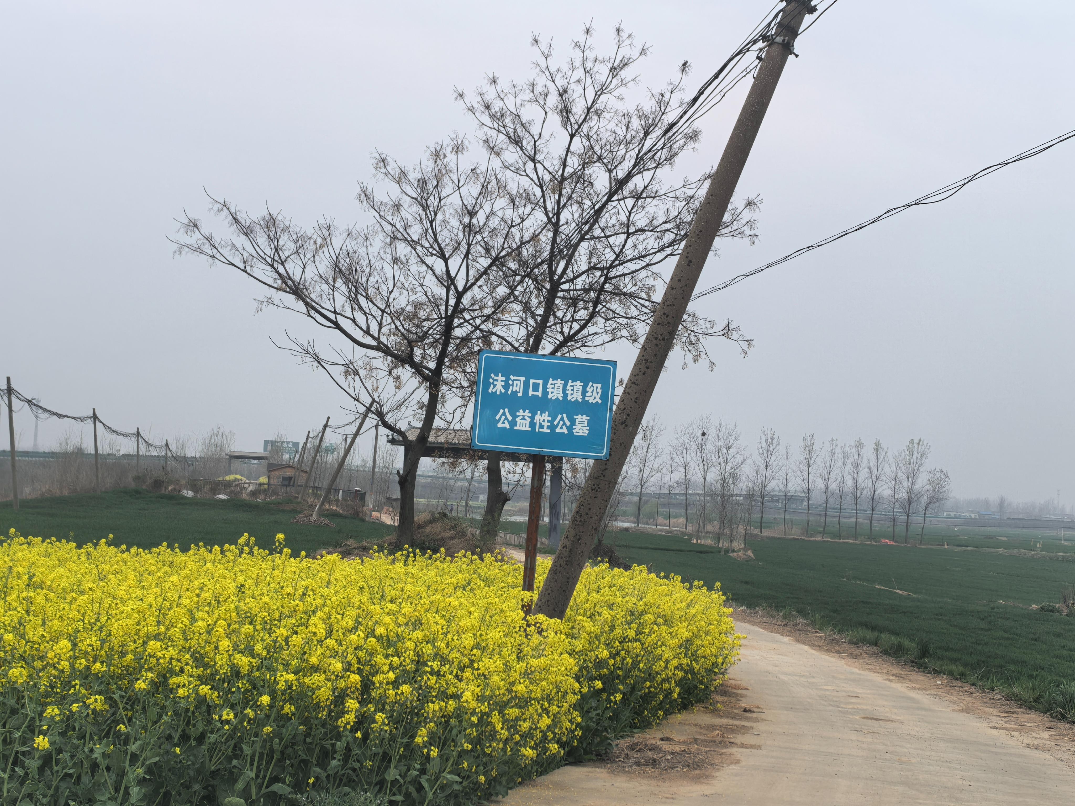 蚌埠市淮上区沫河口镇公益性公募园区图片