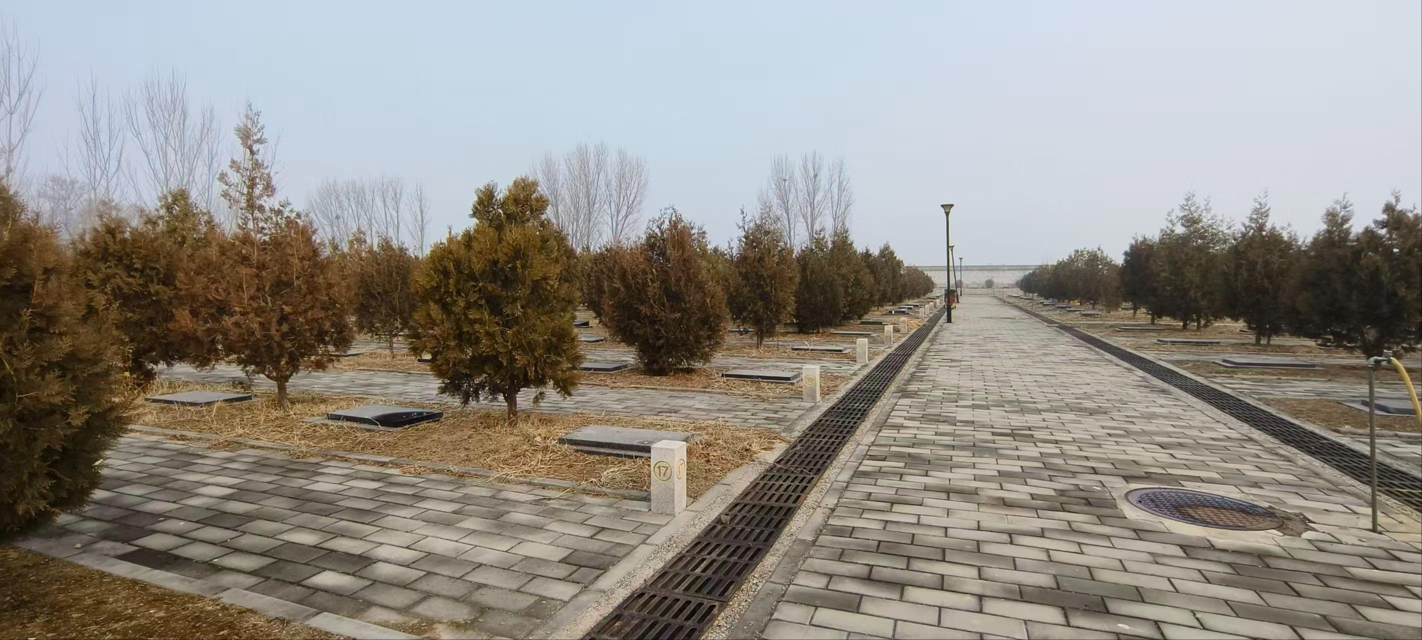 二郎庙村公墓园区图片