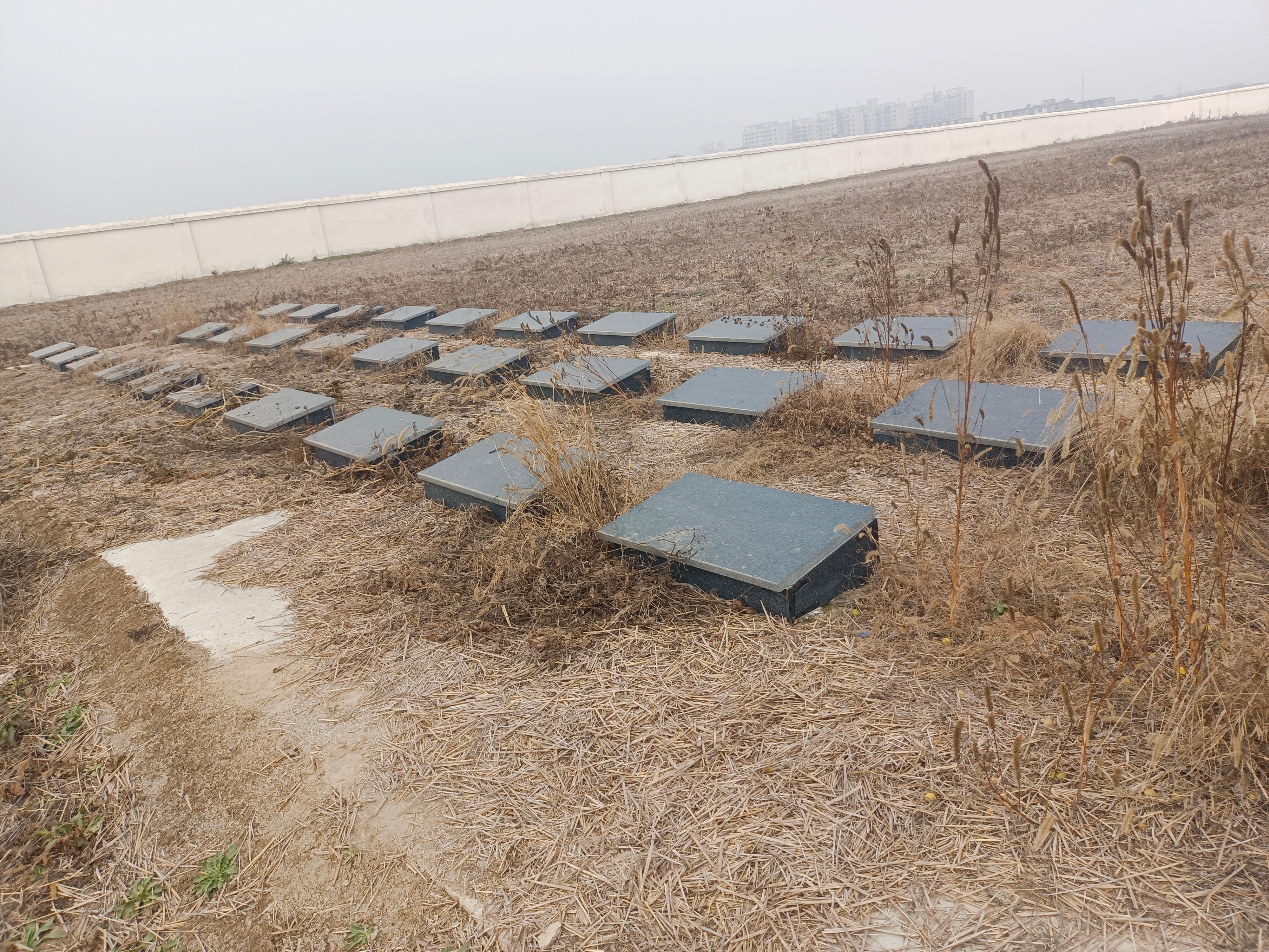 江口镇公益性墓地园区图片