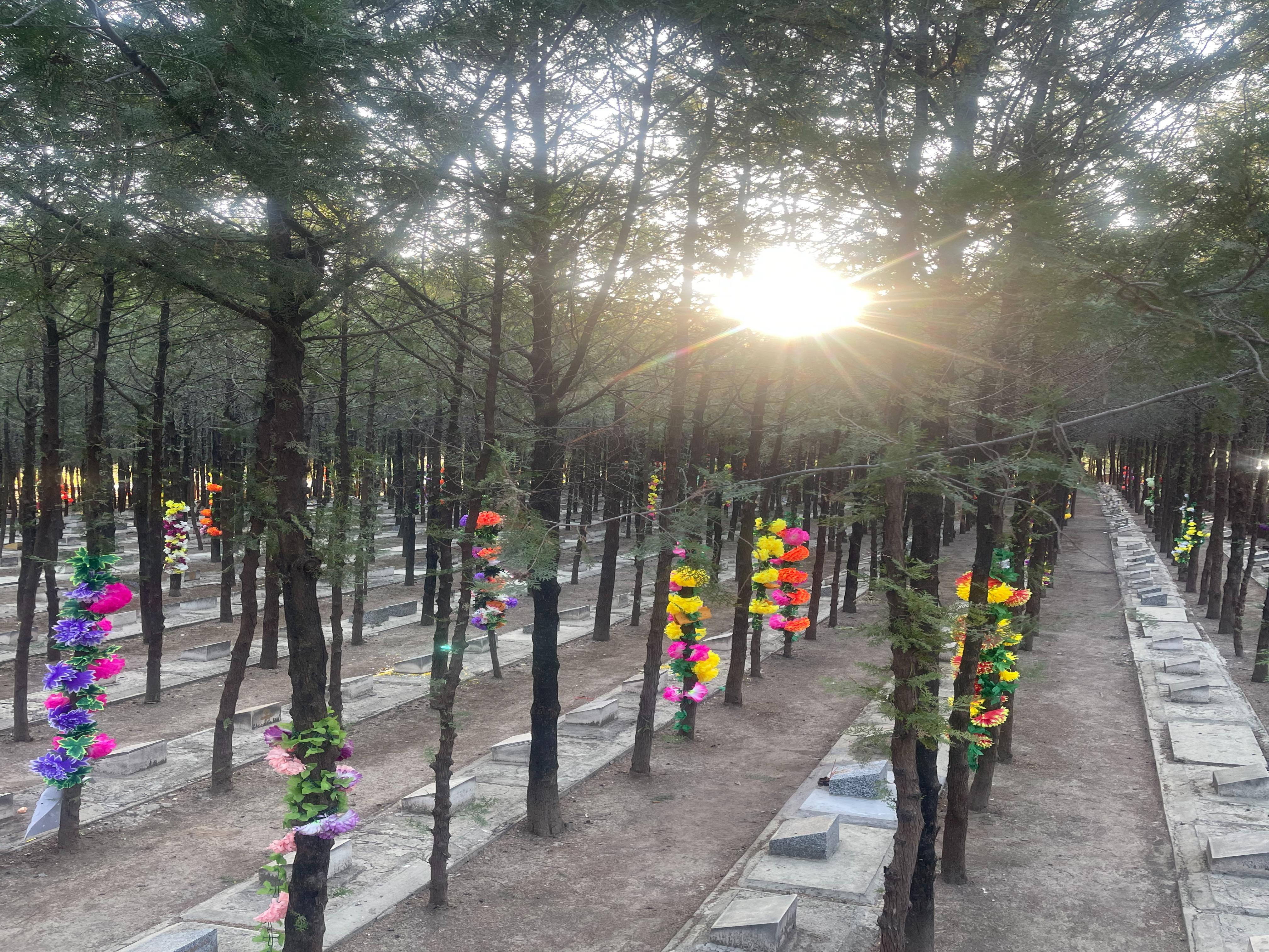北京市海淀区西北旺镇青山公墓园区图片