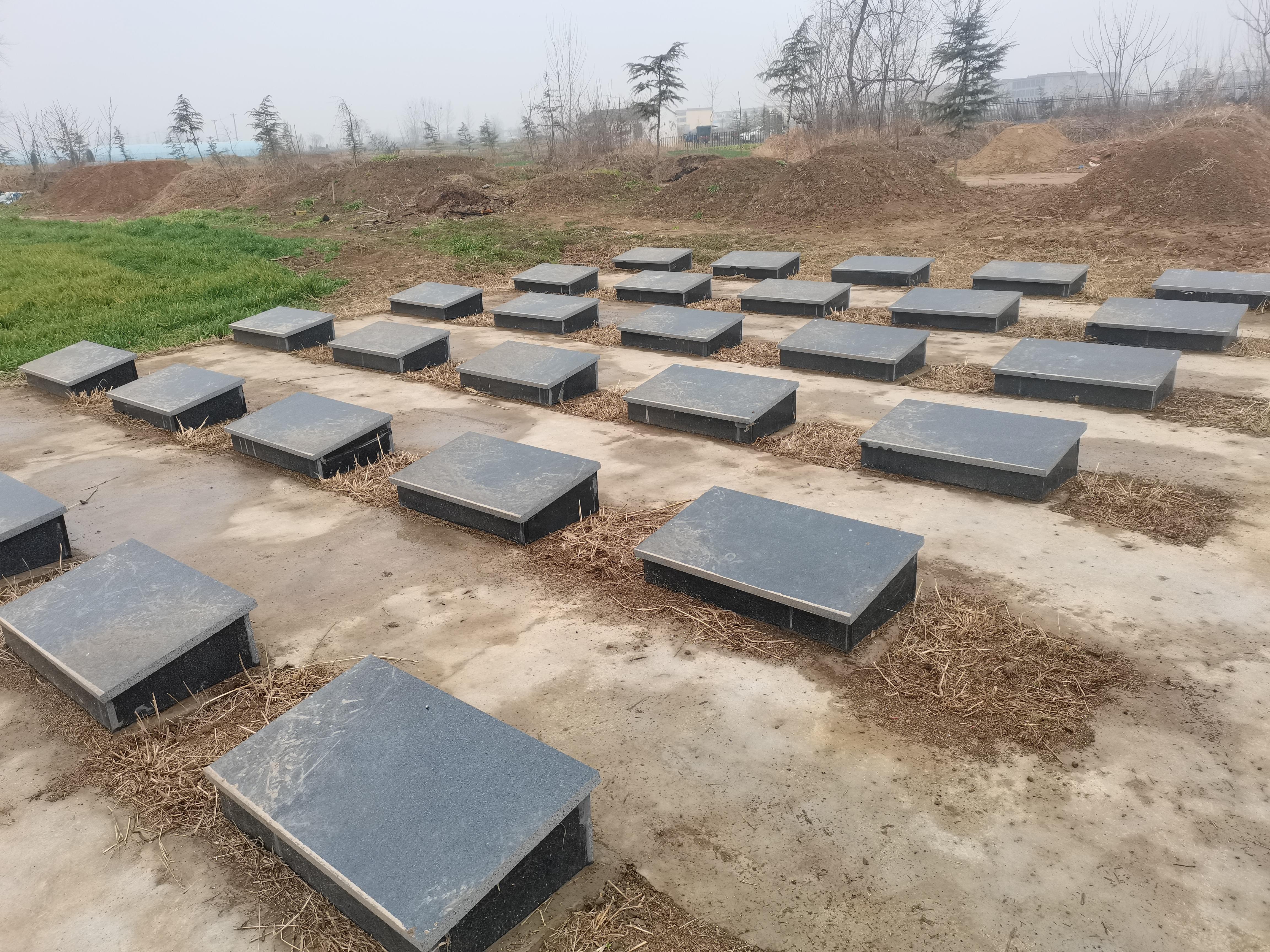 南照镇公益性公墓园区图片