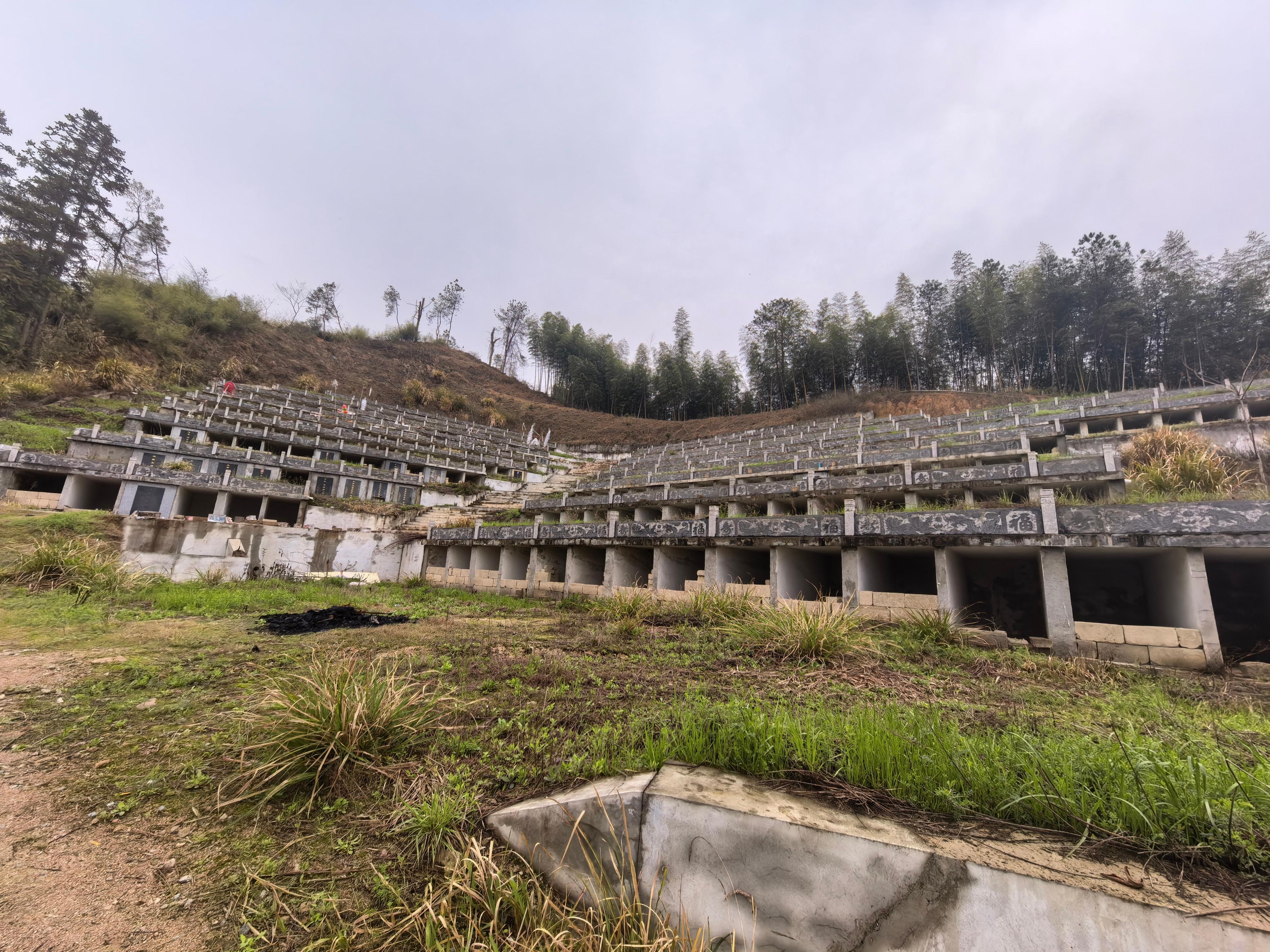 杨墅村1号千家坞公墓园区图片