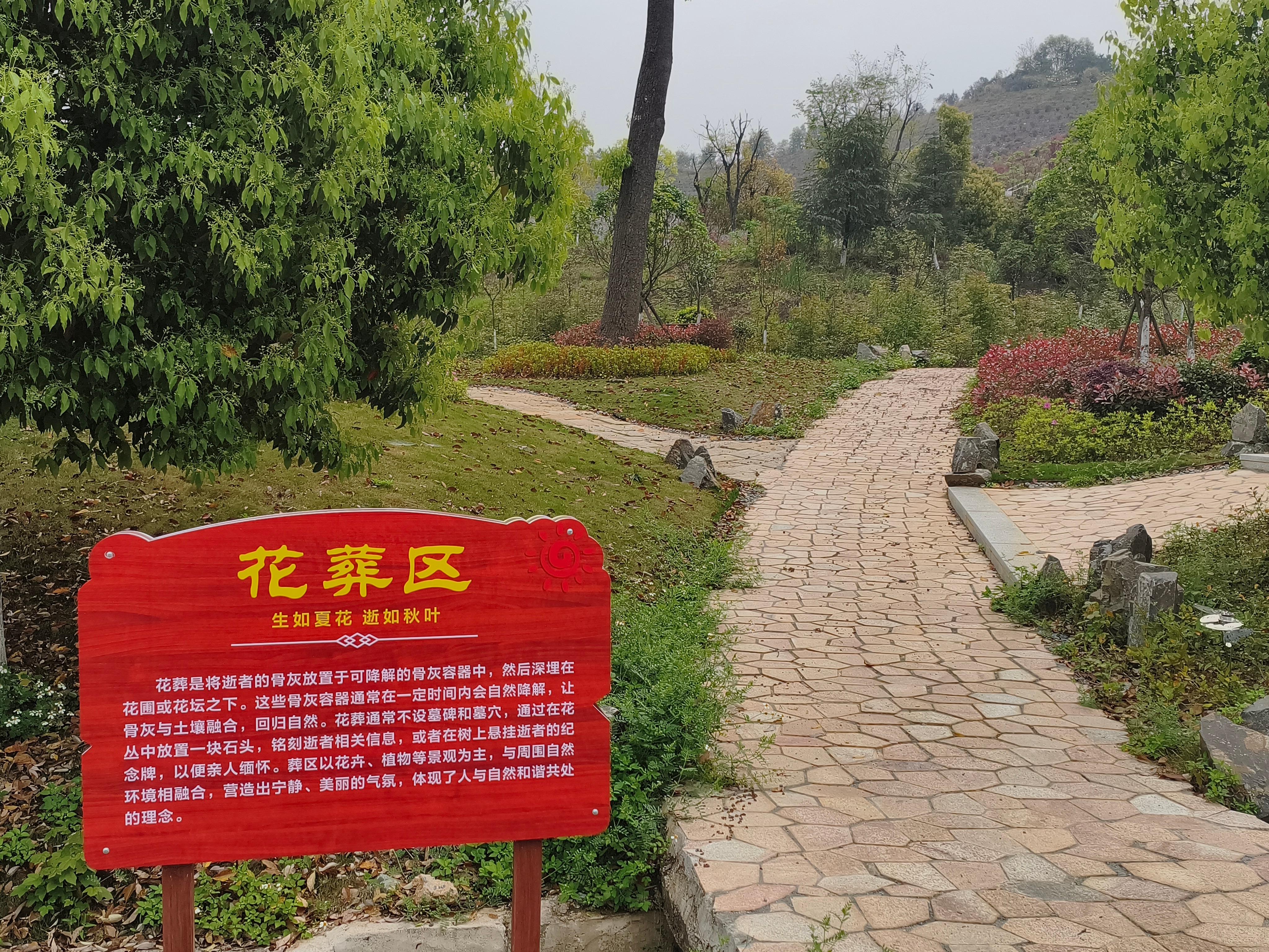 赣州市南康区常青园运营服务有限公司园区图片