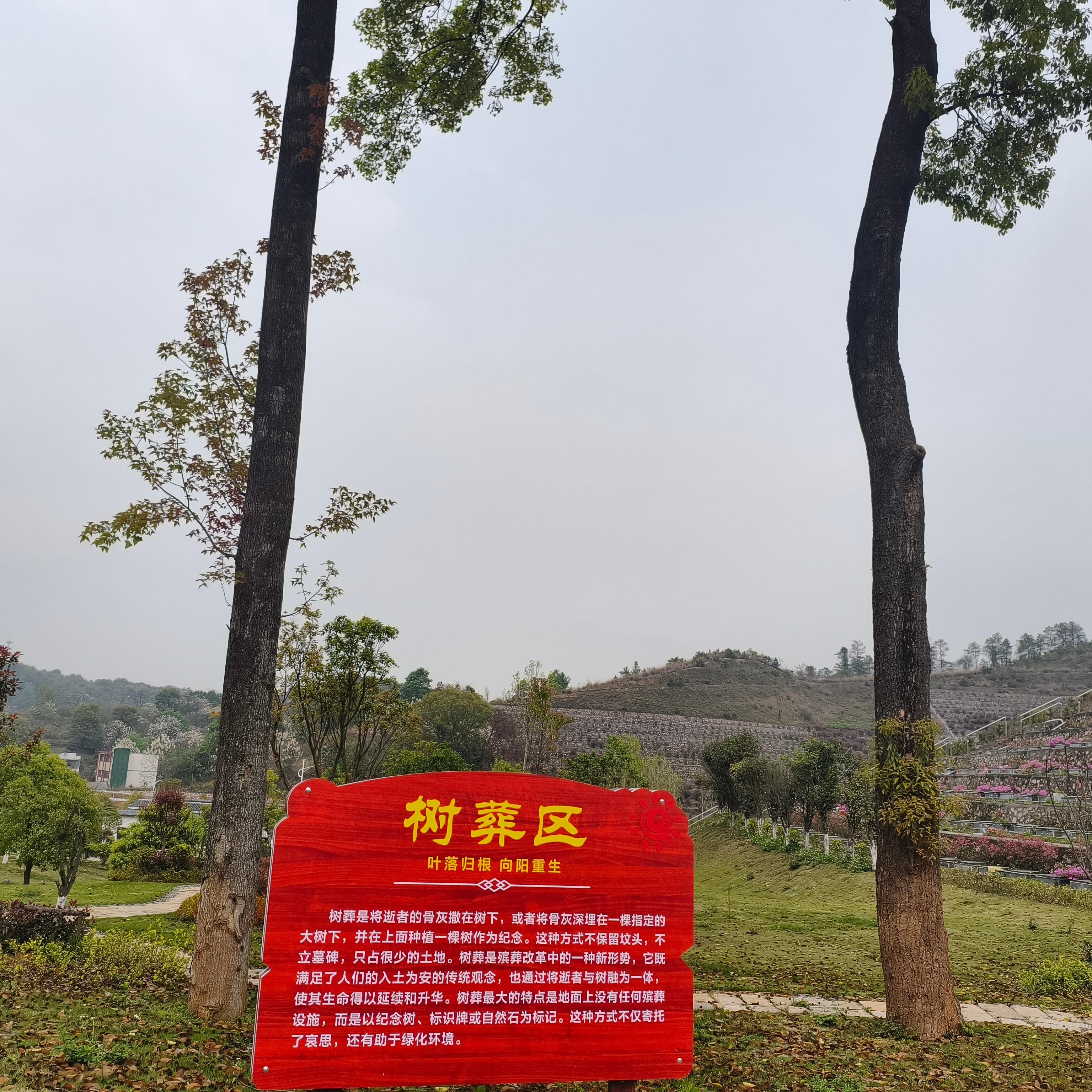 赣州市南康区常青园运营服务有限公司园区图片