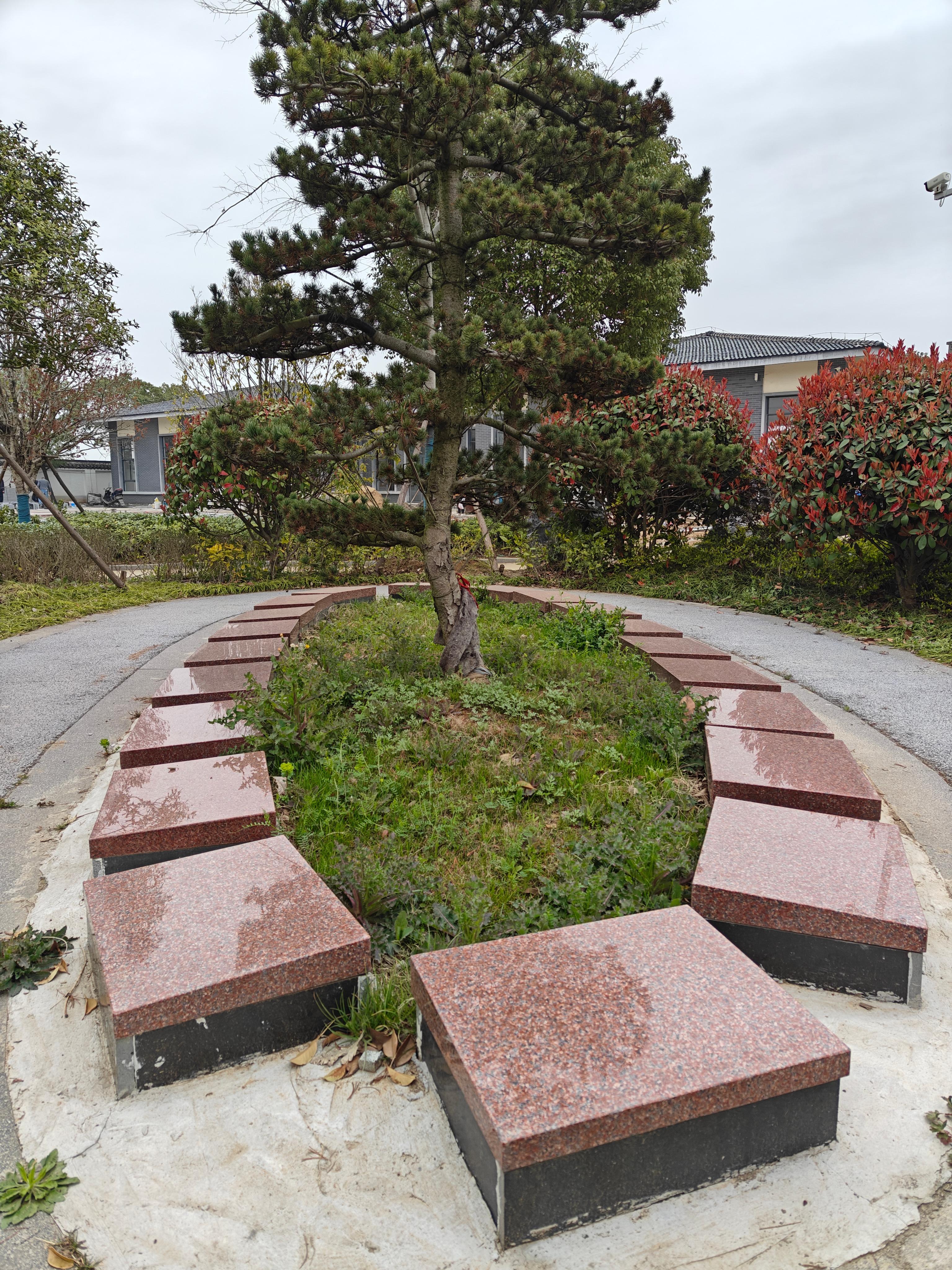 仪征市城市公益性公墓园区图片
